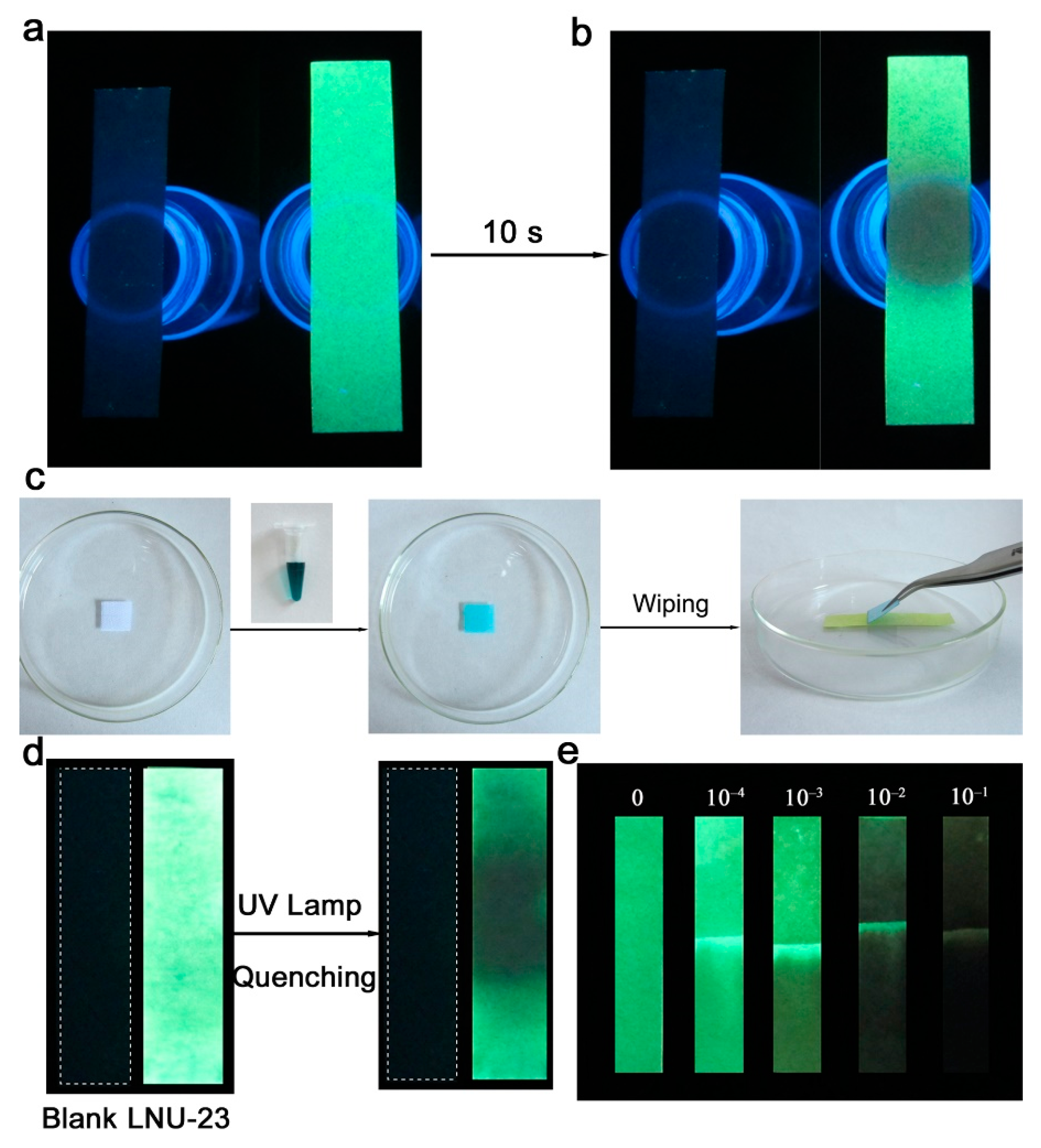Molecules 27 06252 g005