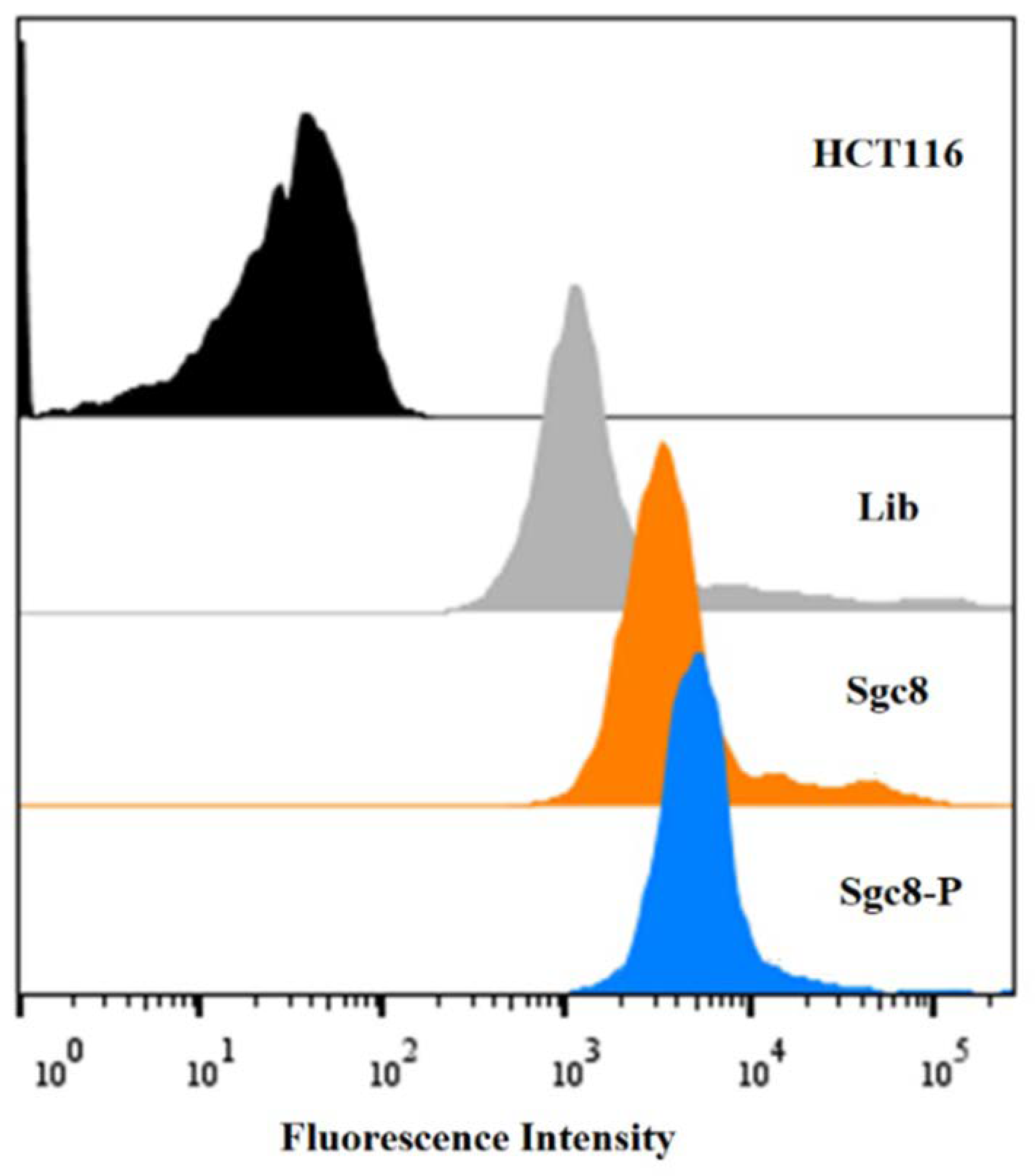 Molecules 27 06257 g002