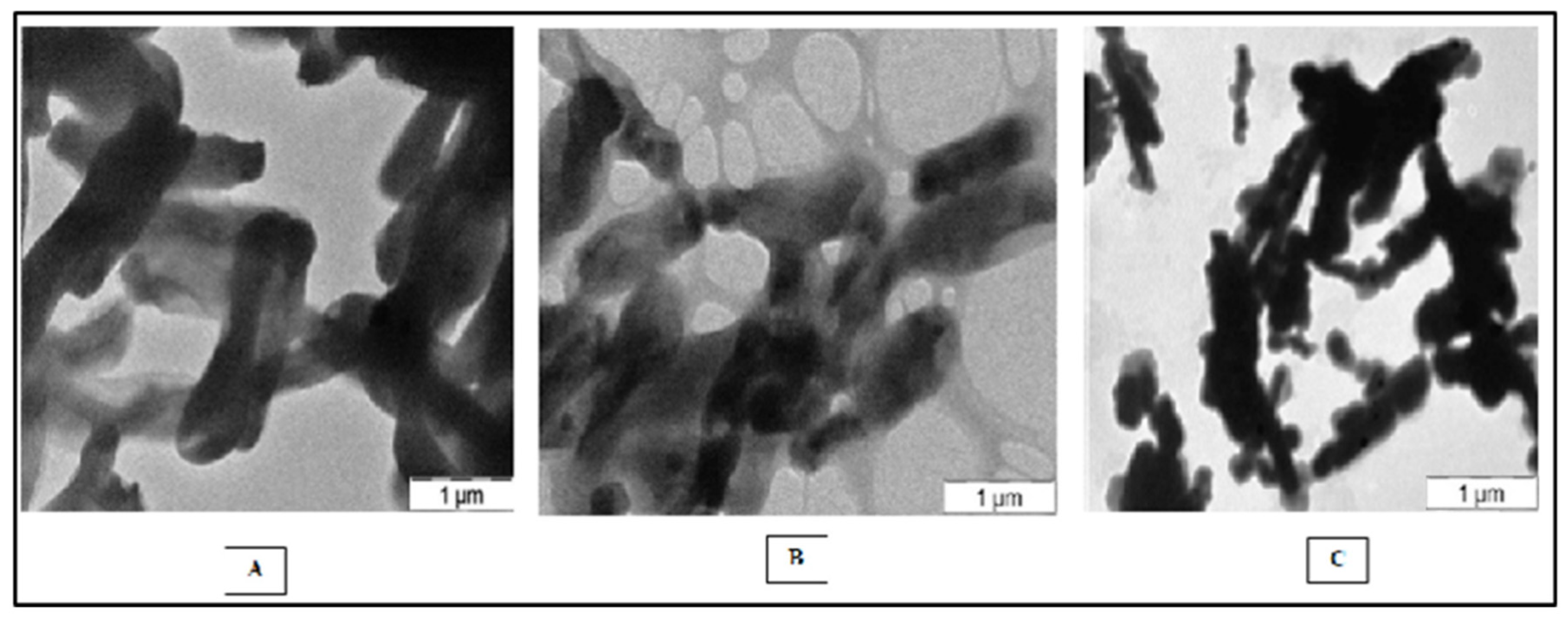 Molecules 27 06265 g001 Molecules 27 06265 g001