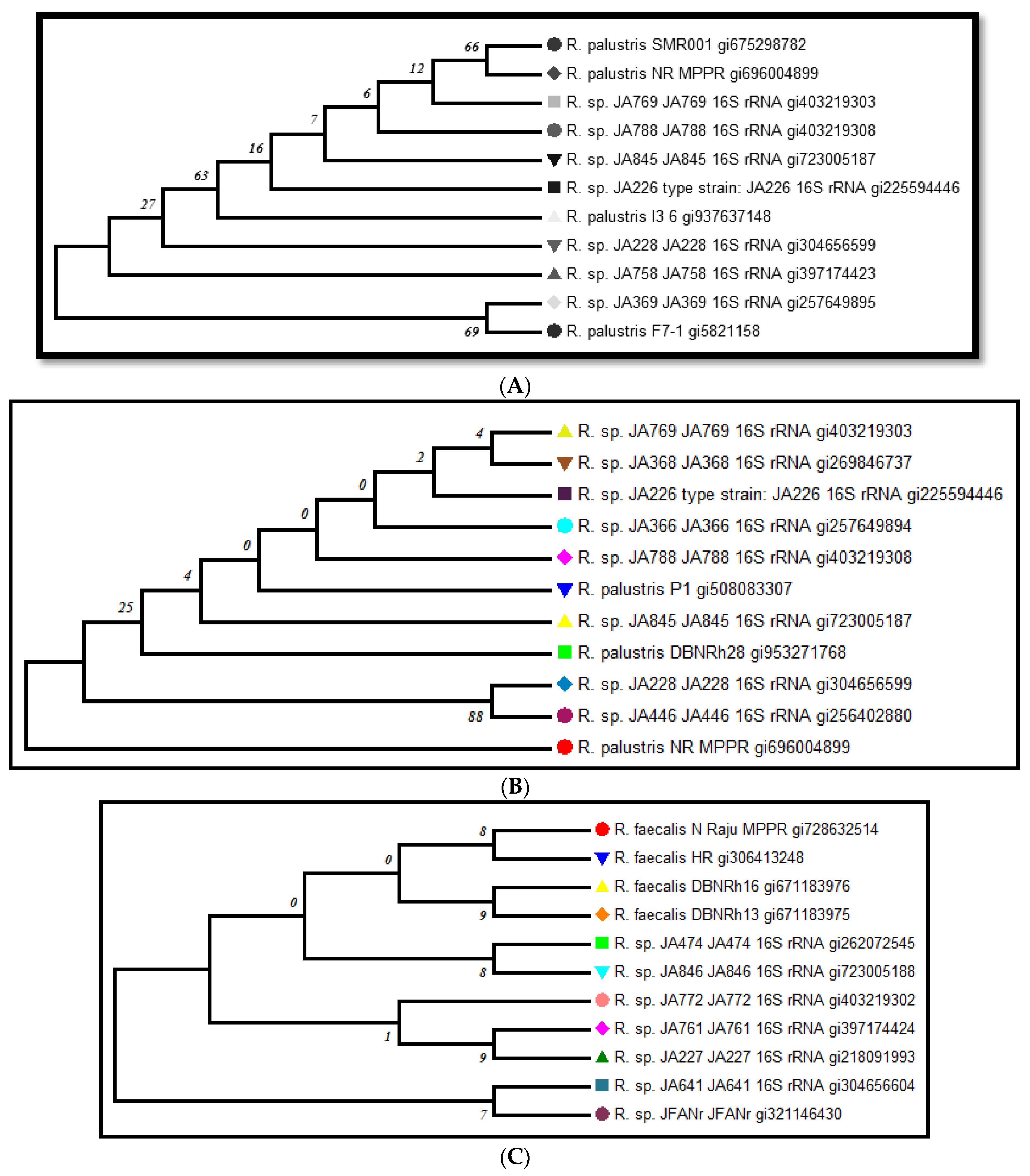 Molecules 27 06265 g003 Molecules 27 06265 g003