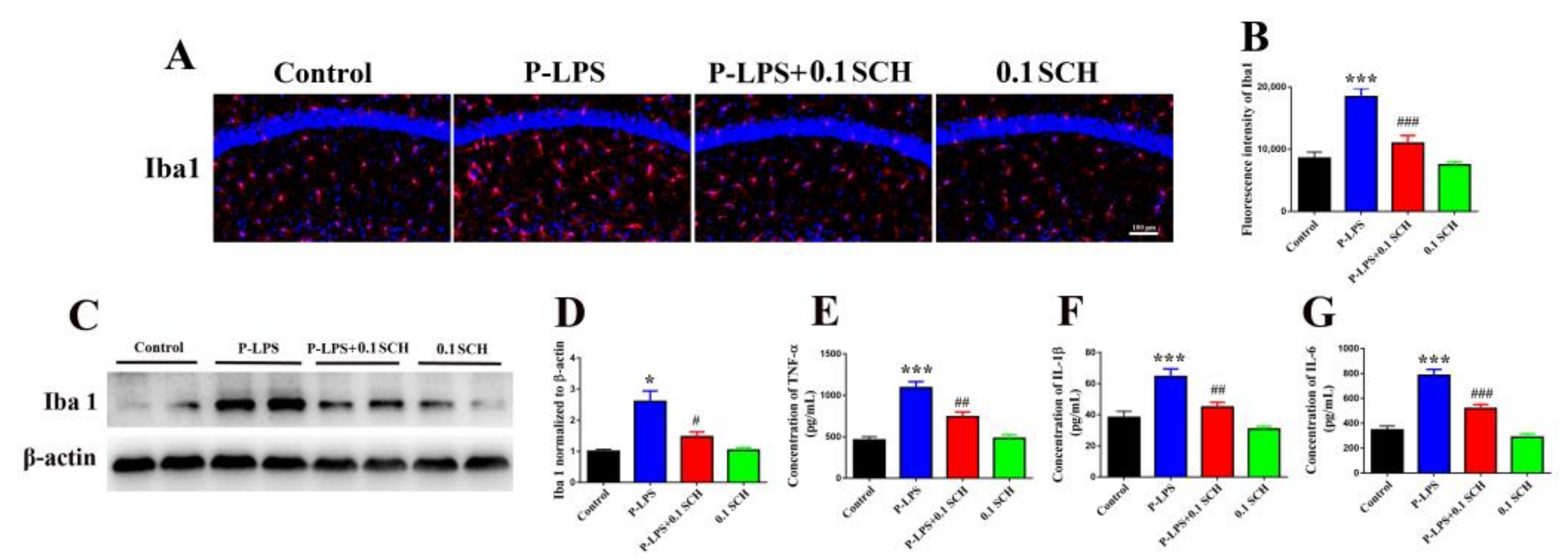 Molecules 27 06267 g005