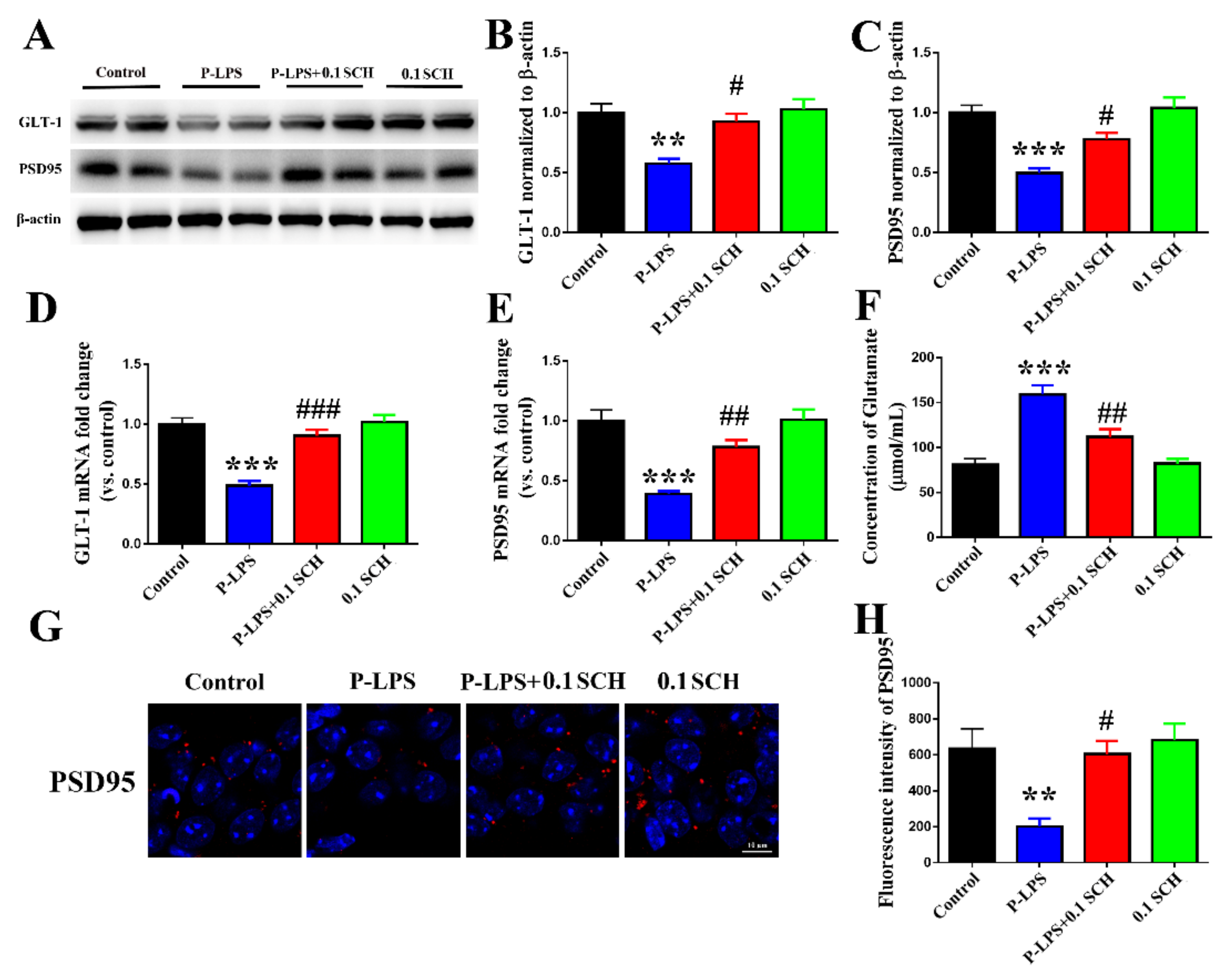 Molecules 27 06267 g006