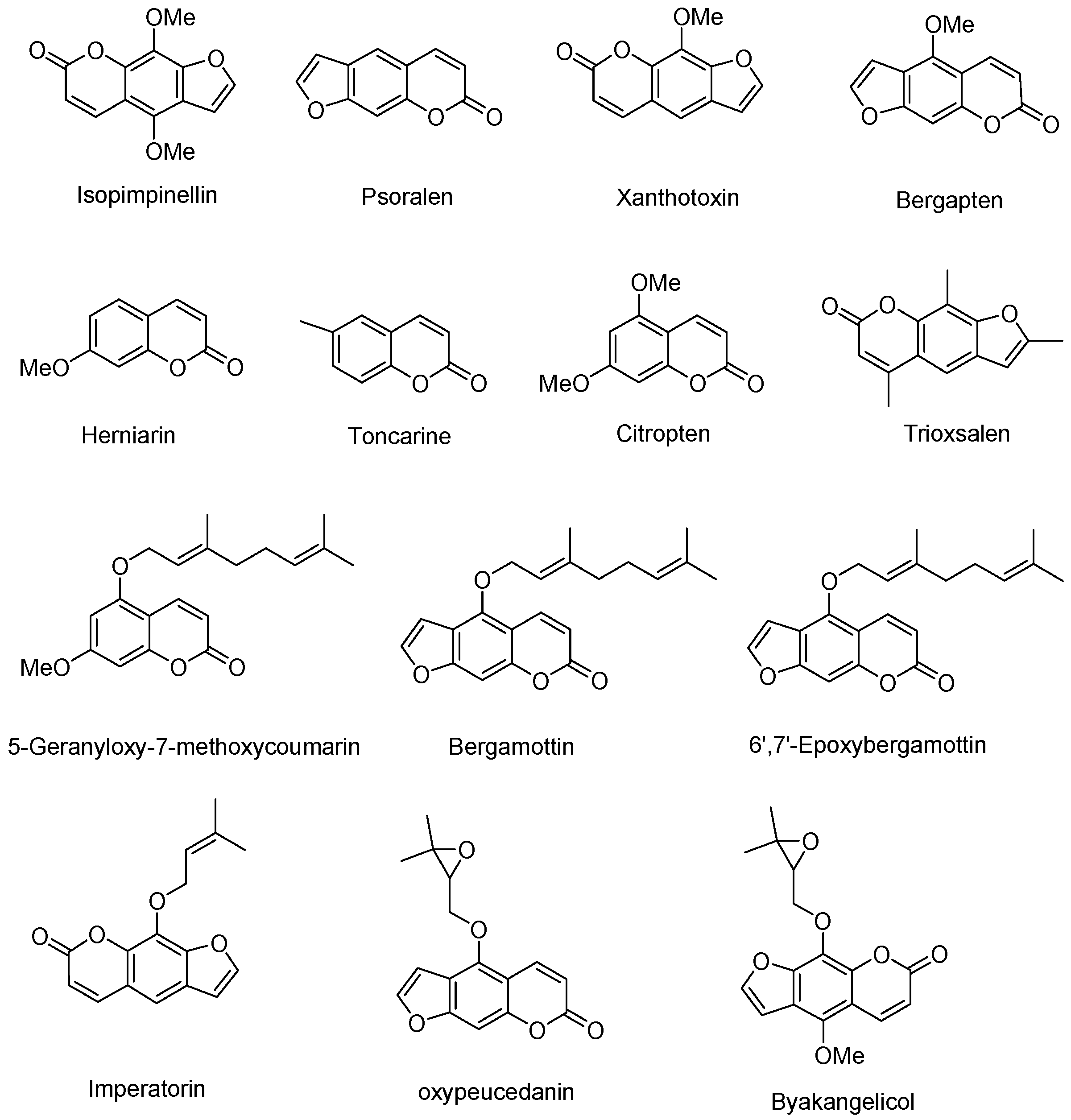Molecules 27 06277 g001