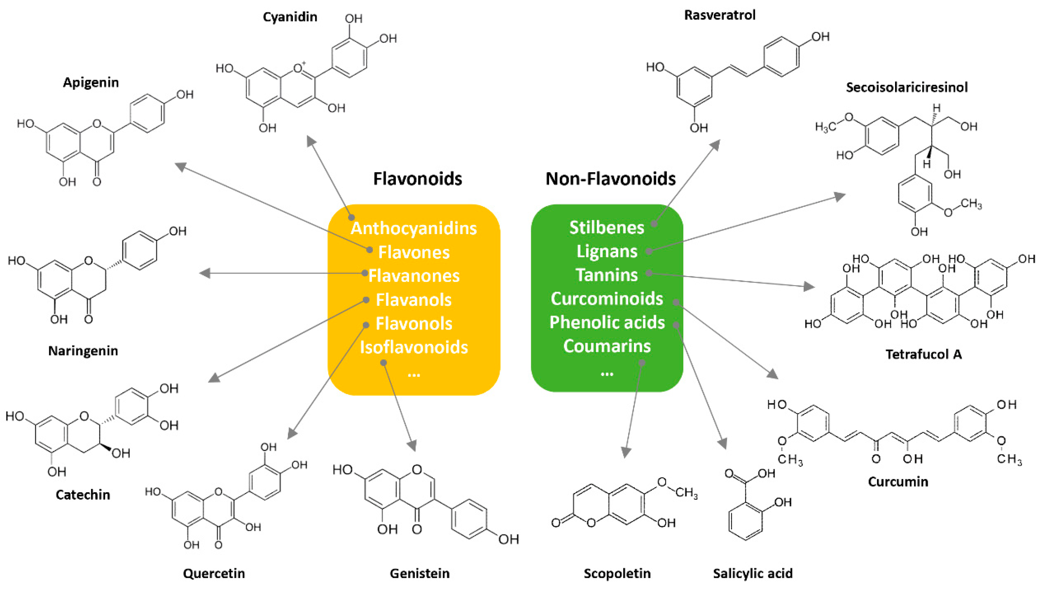 Molecules 27 06280 g001
