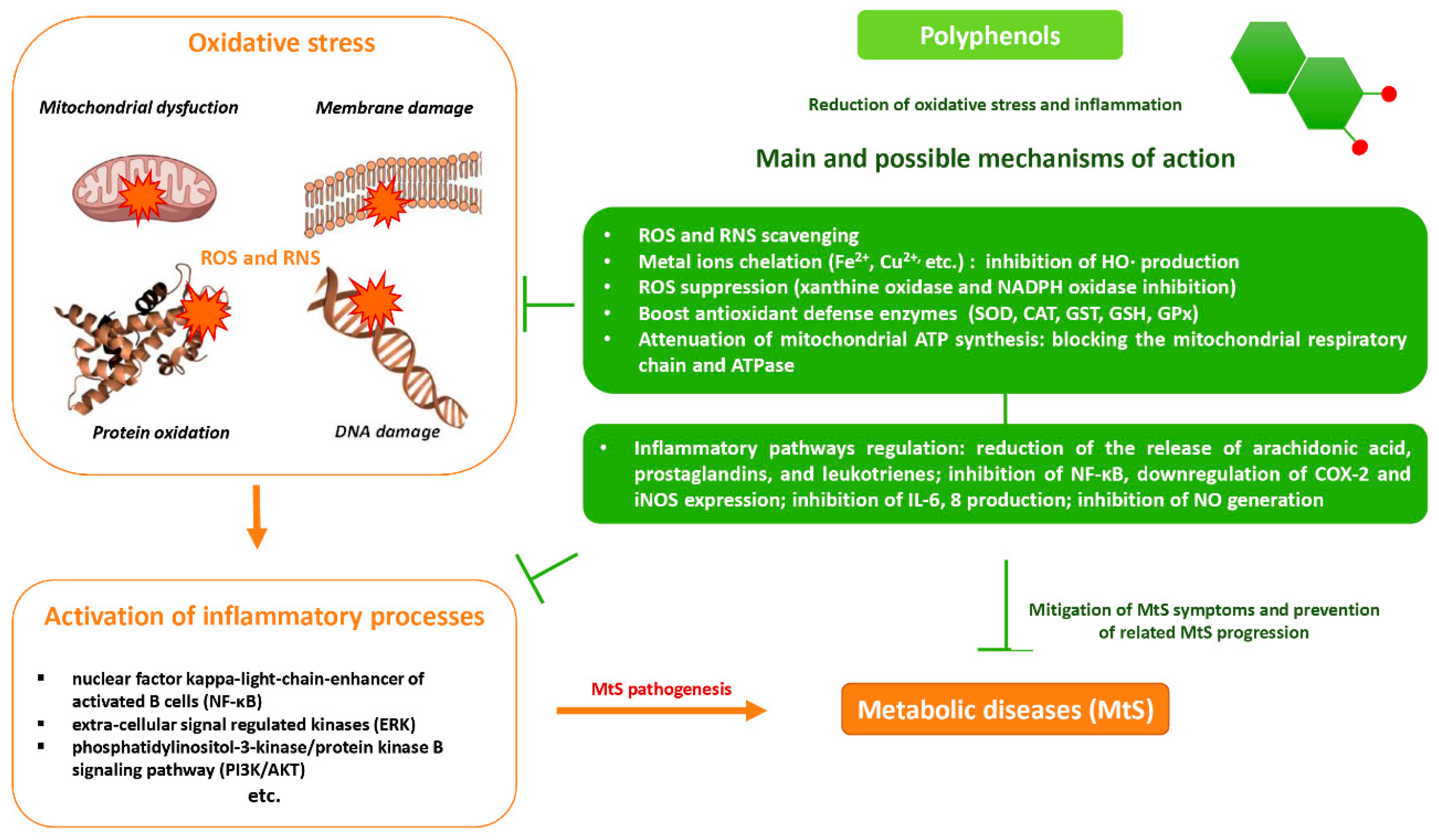 Molecules 27 06280 g003