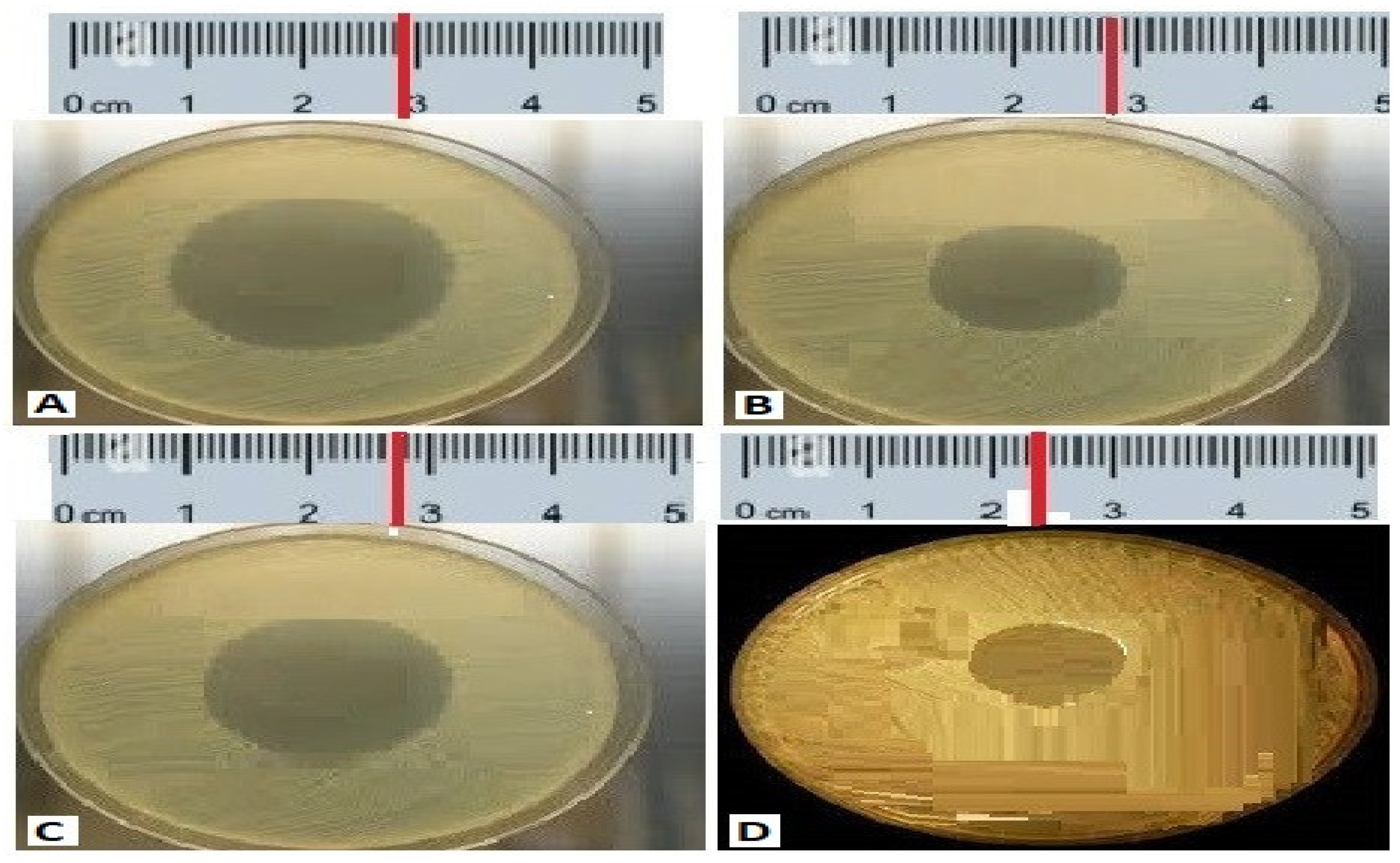 Molecules 27 06281 g001