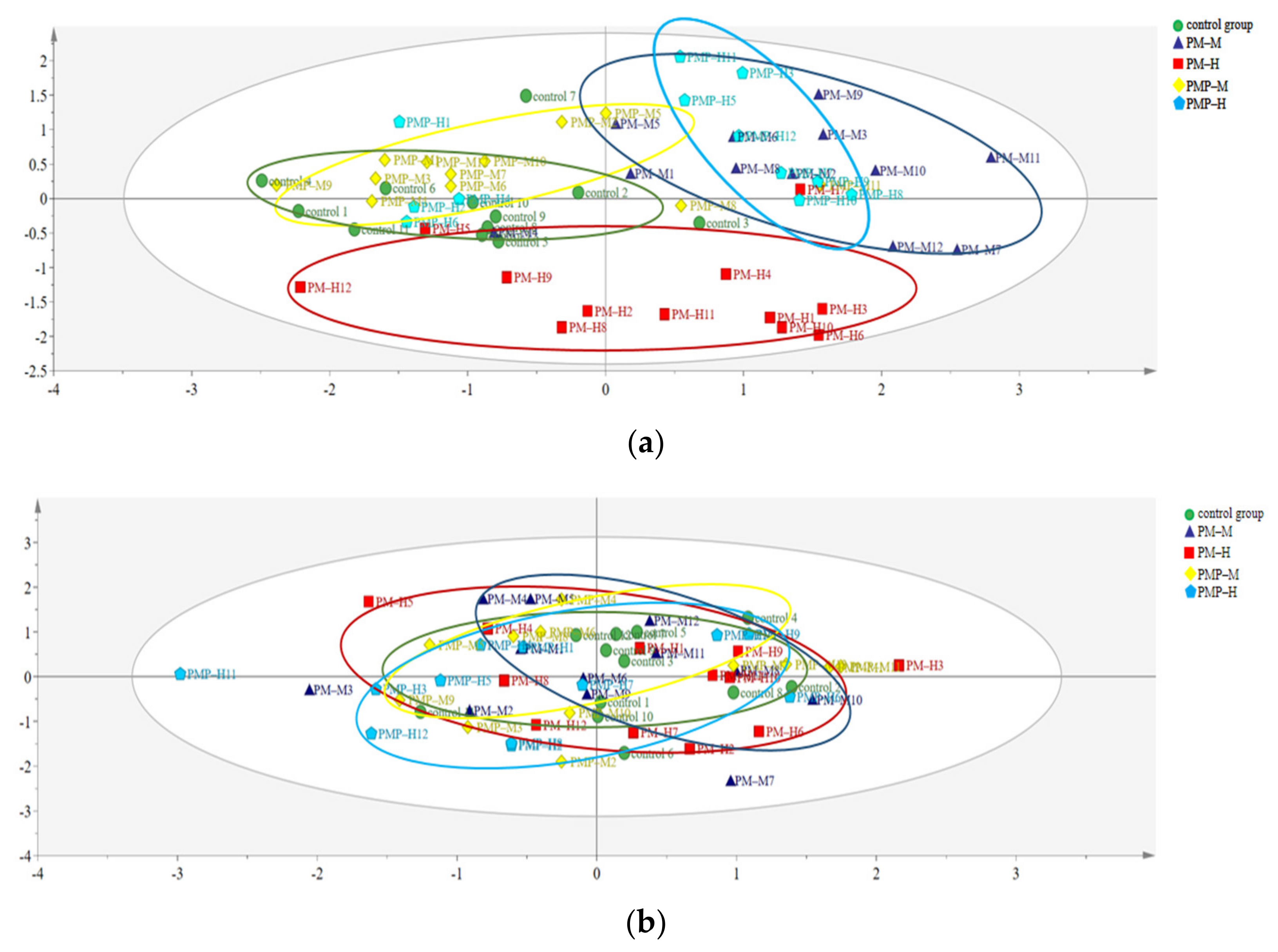 Molecules 27 06284 g004