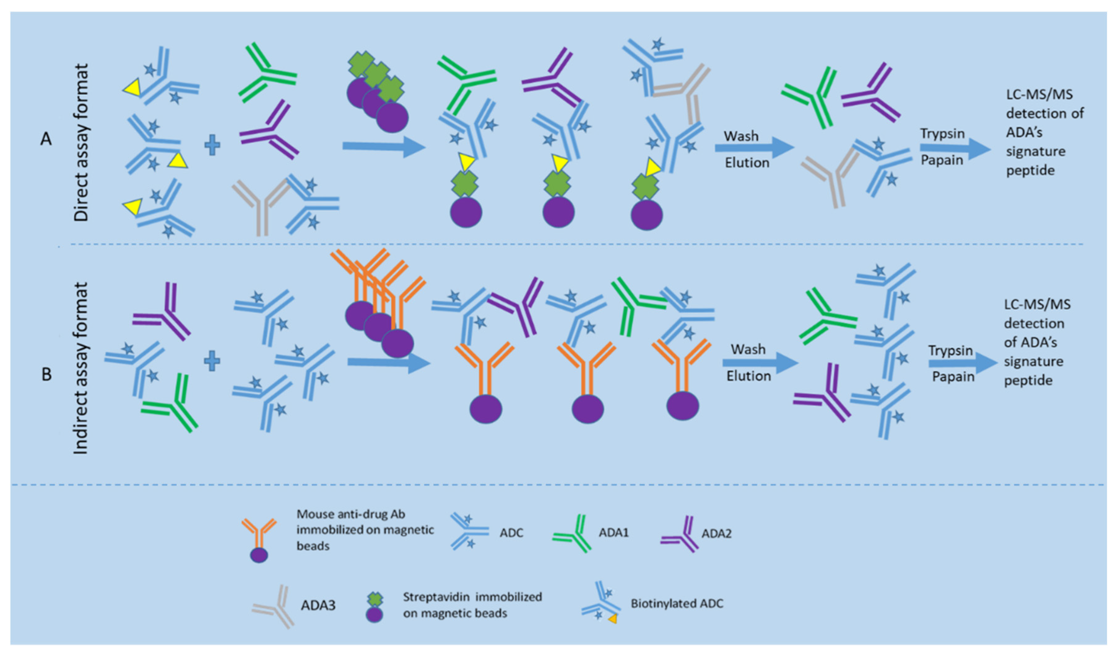 Molecules 27 06299 g004