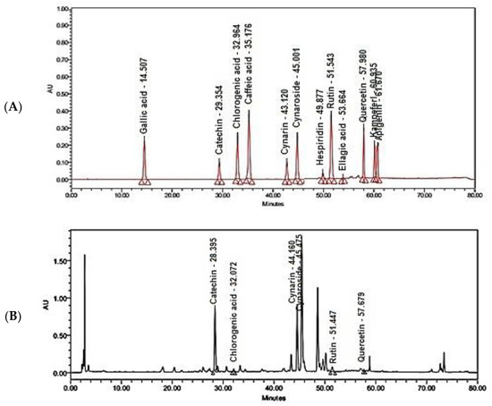 Molecules 27 06304 g001a Molecules 27 06304 g001a