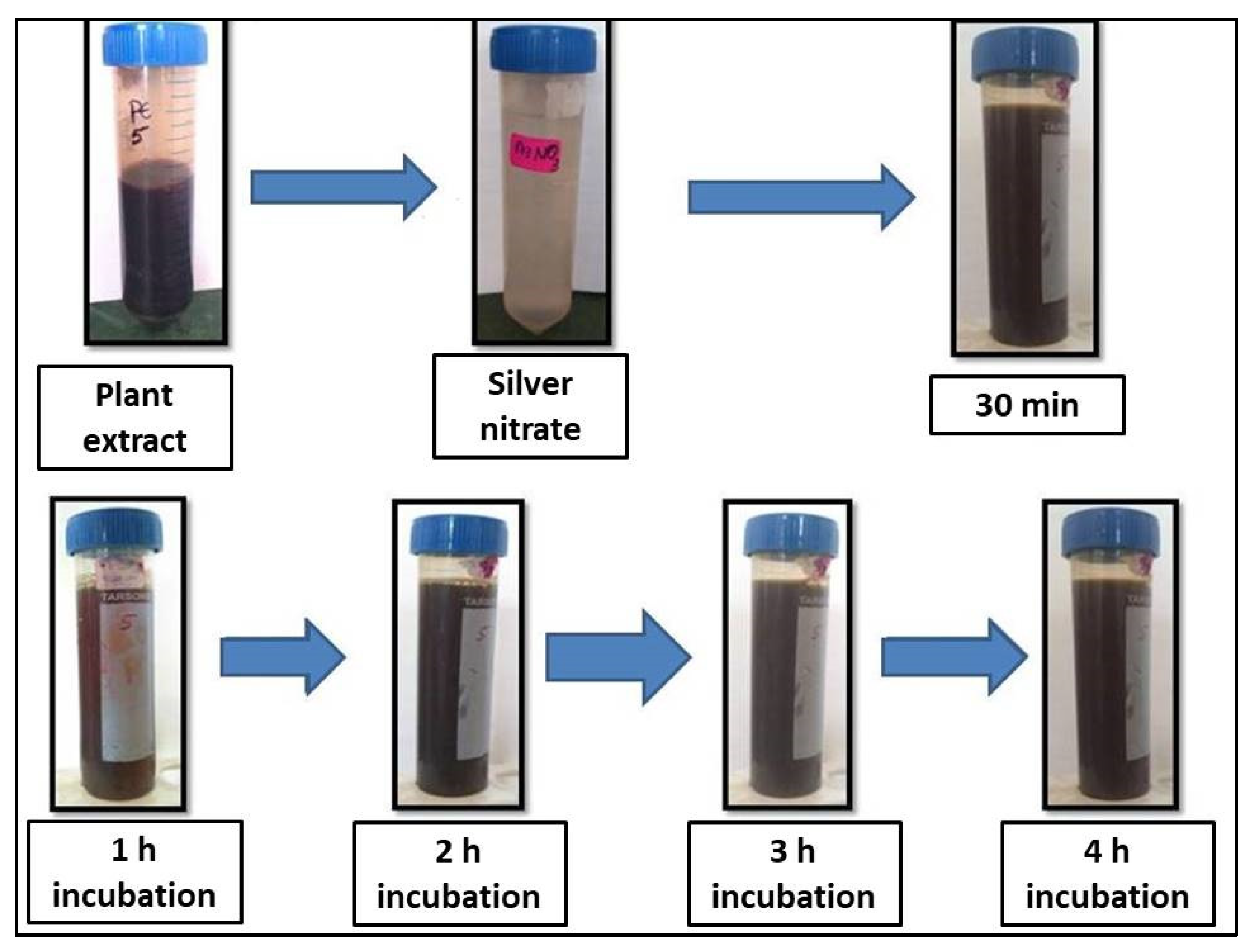 Molecules 27 06306 g001 Molecules 27 06306 g001