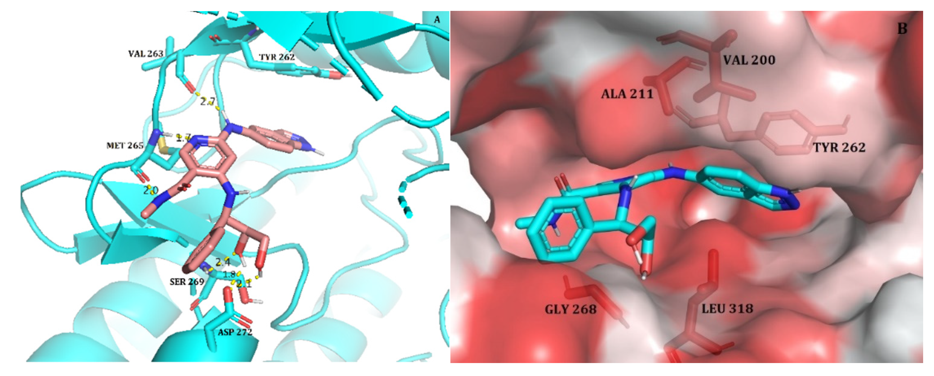 Molecules 27 06307 g001