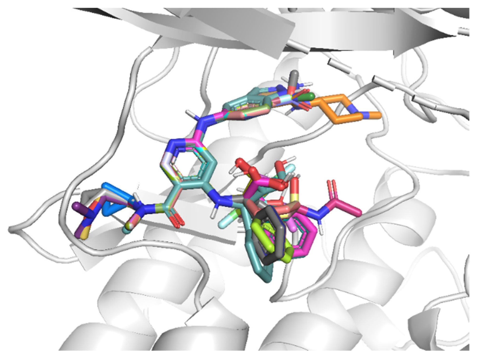 Molecules 27 06307 g005