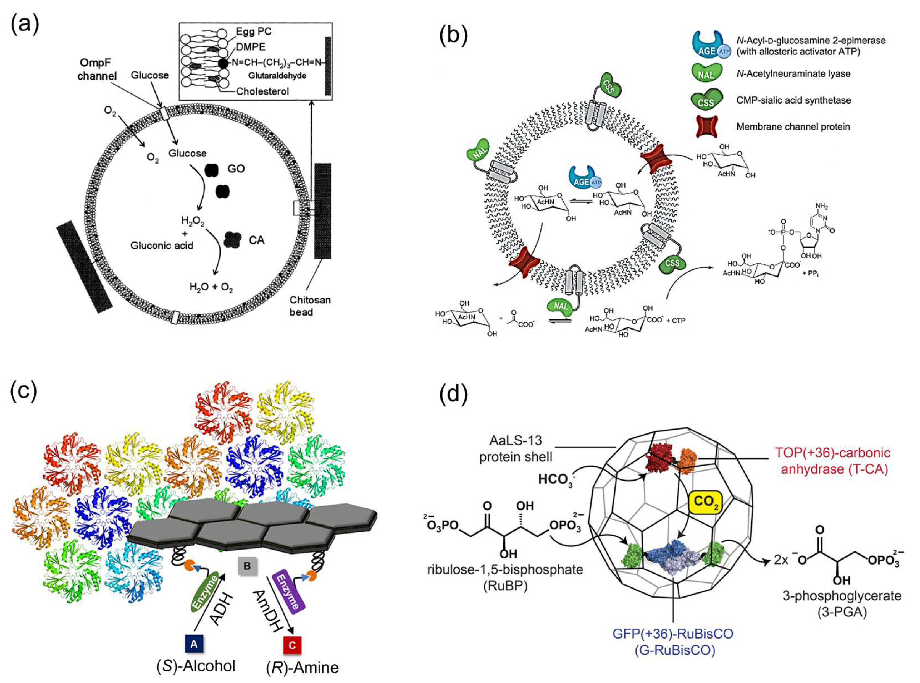 Molecules 27 06309 g002