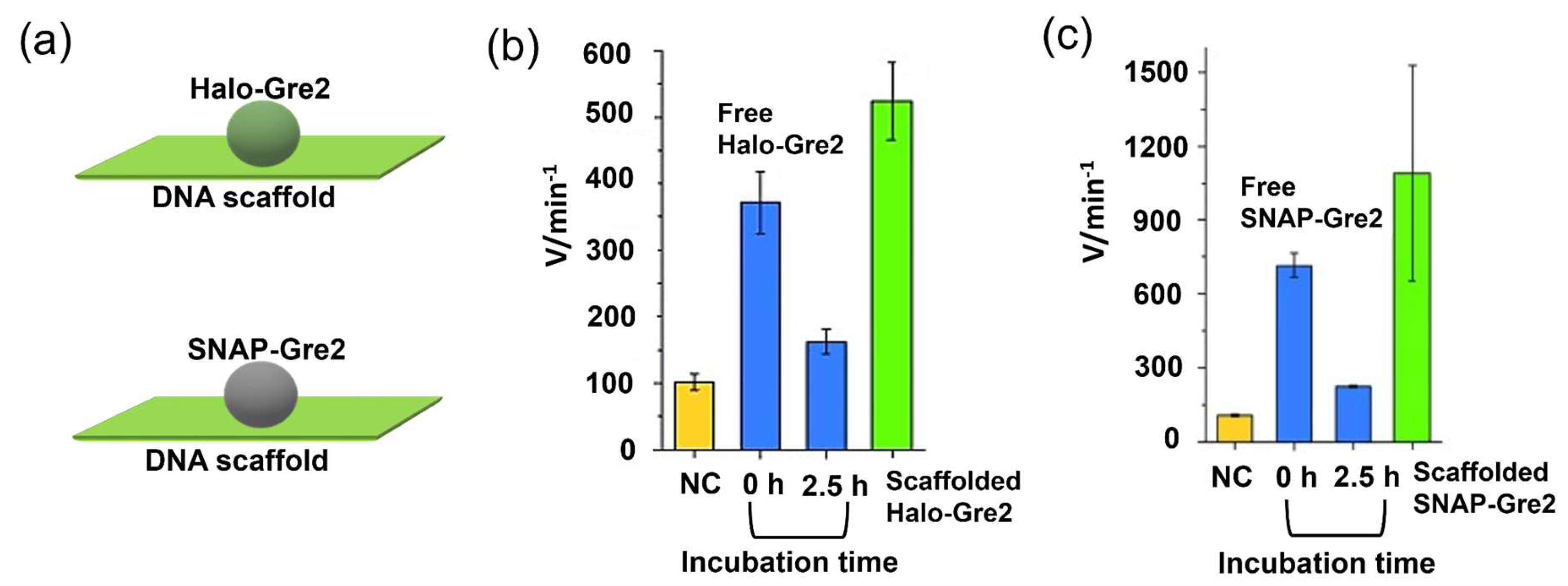 Molecules 27 06309 g004