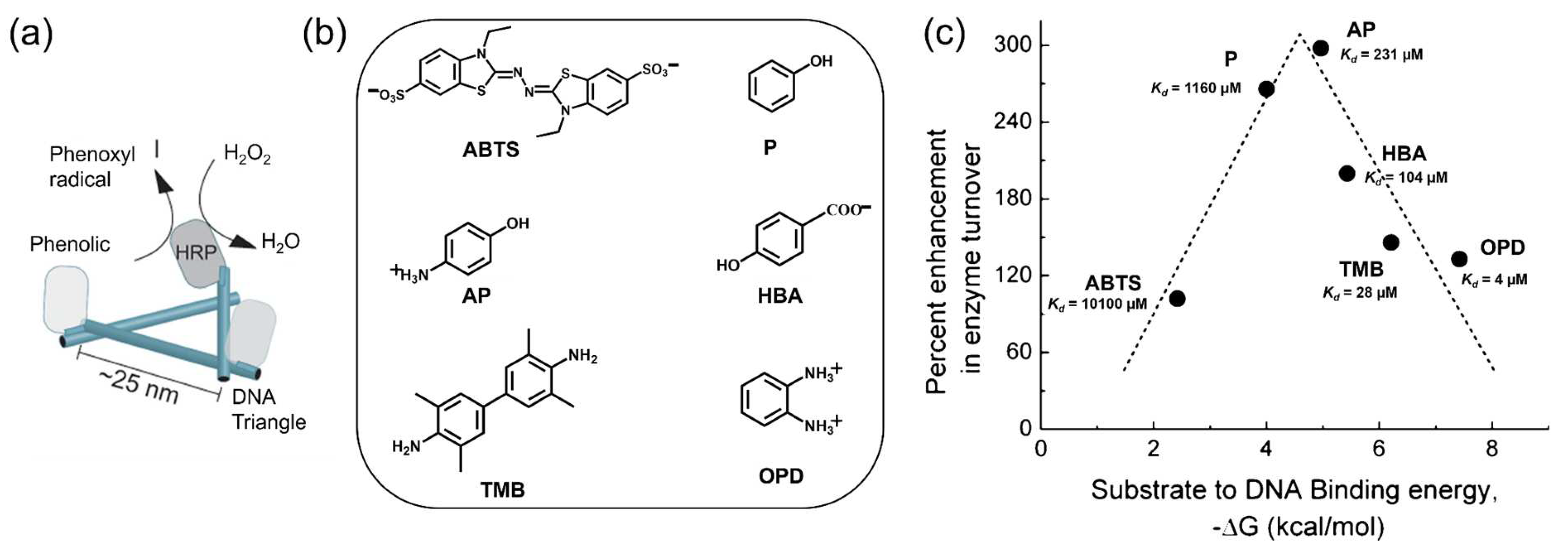 Molecules 27 06309 g005