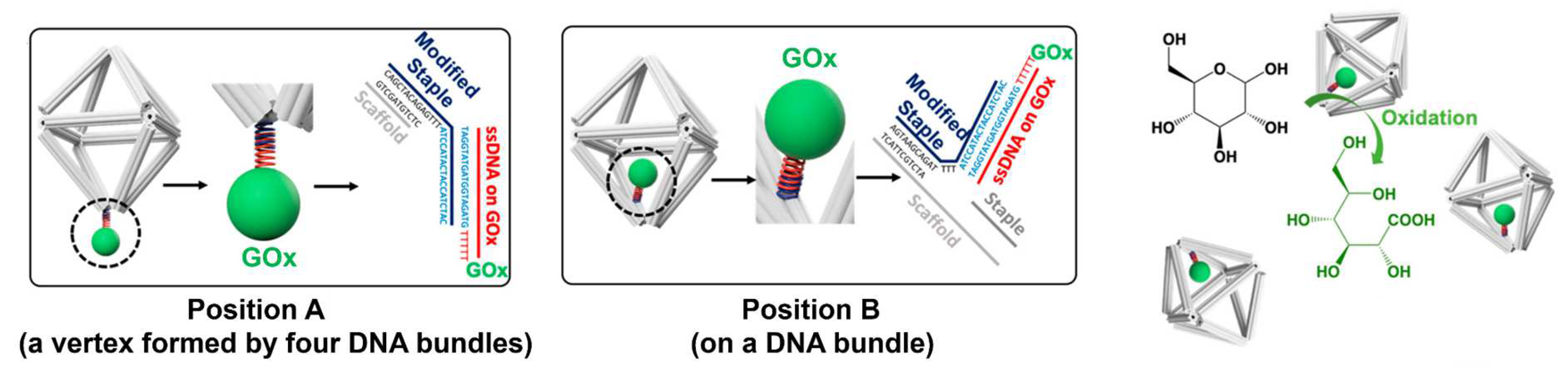 Molecules 27 06309 g006