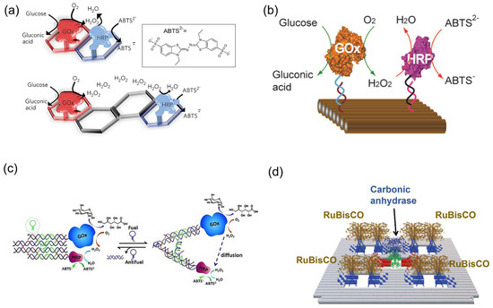 Molecules 27 06309 g011