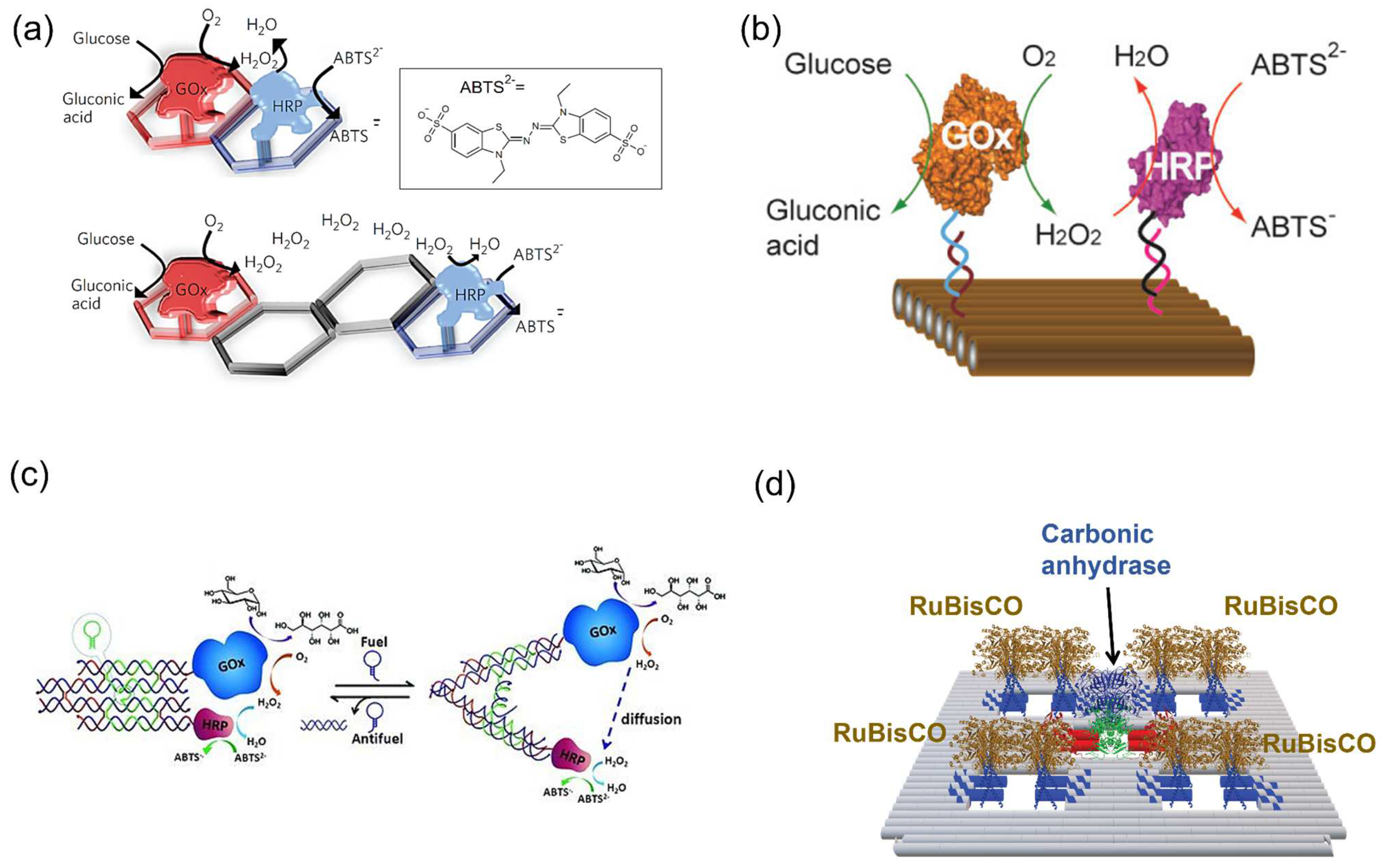 Molecules 27 06309 g011