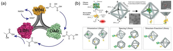 Molecules 27 06309 g013