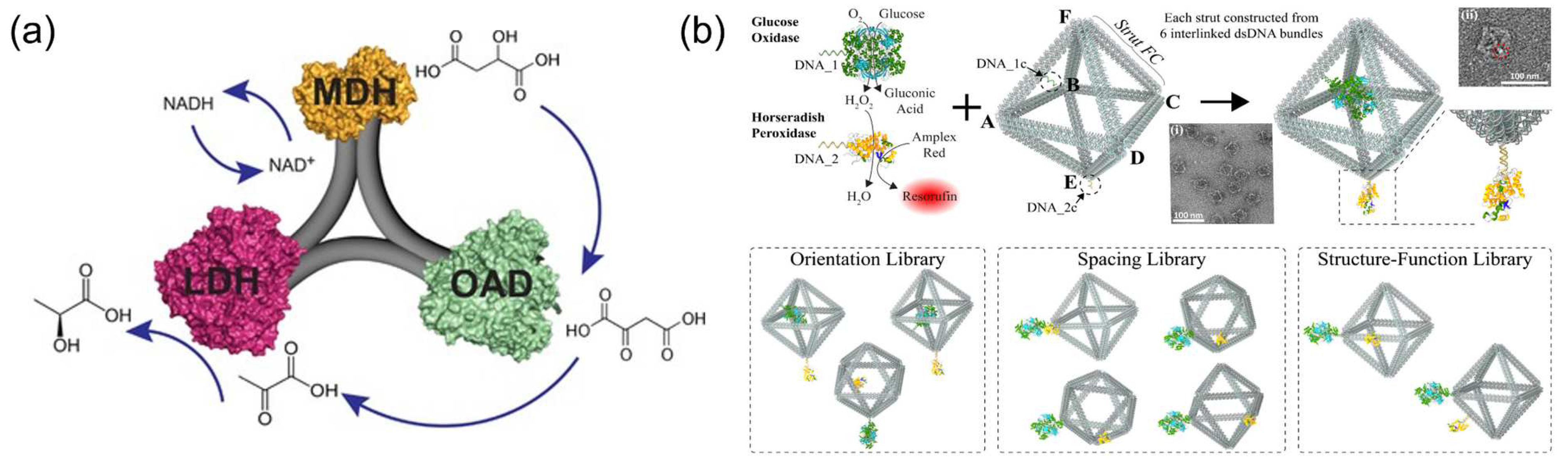 Molecules 27 06309 g013