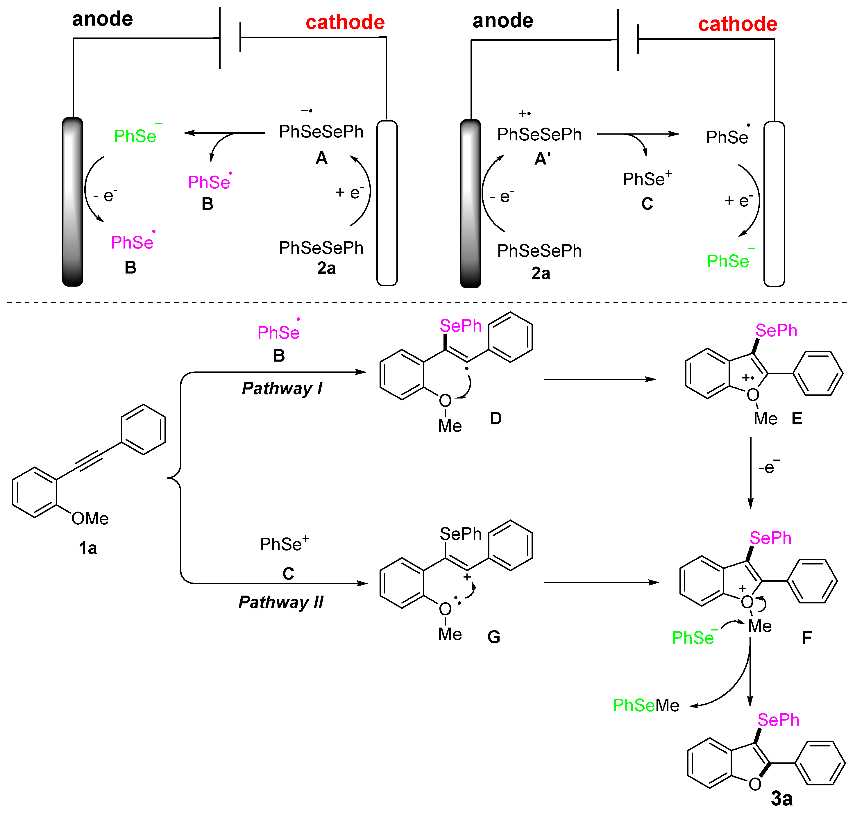 Molecules 27 06314 sch006