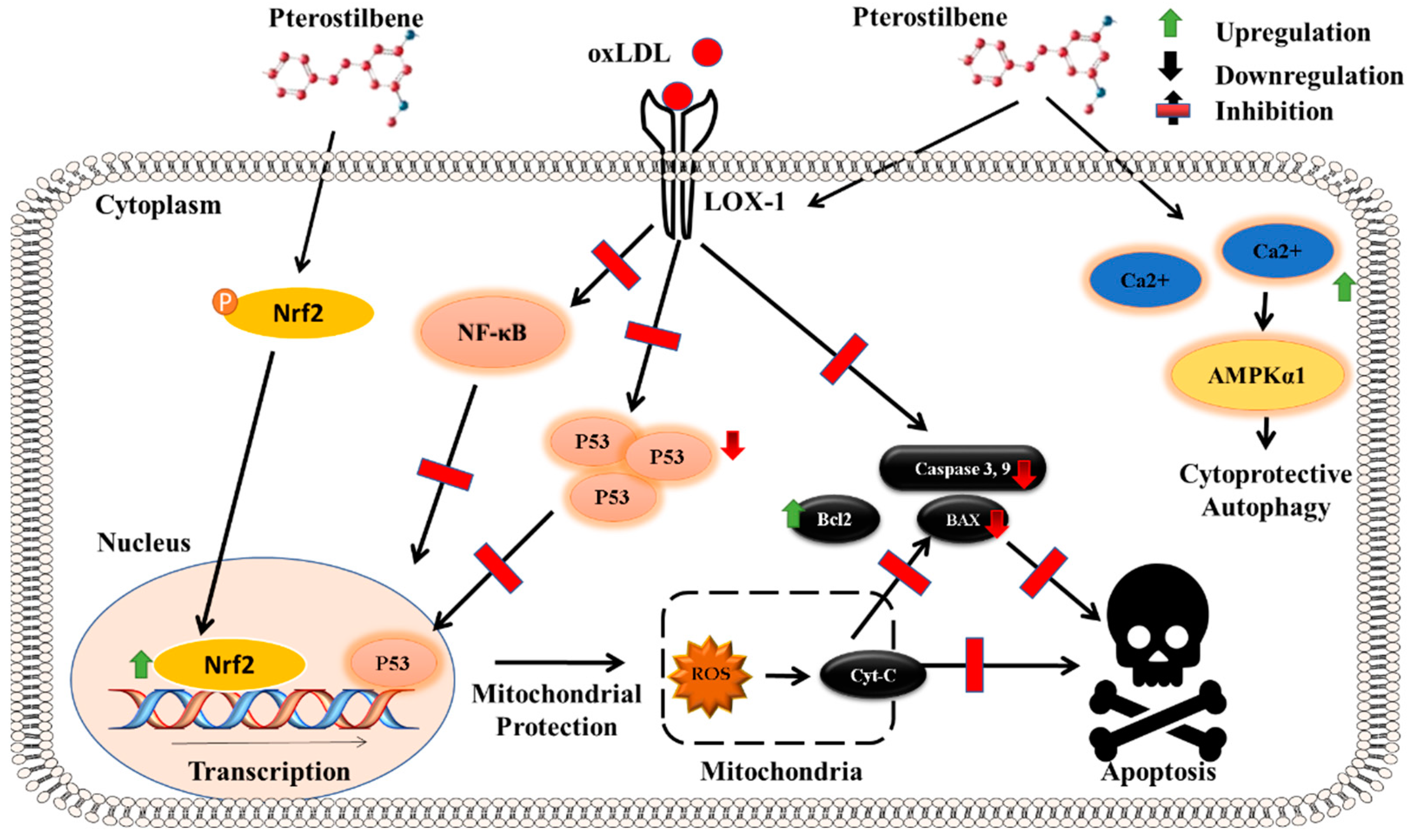 Molecules 27 06316 g002