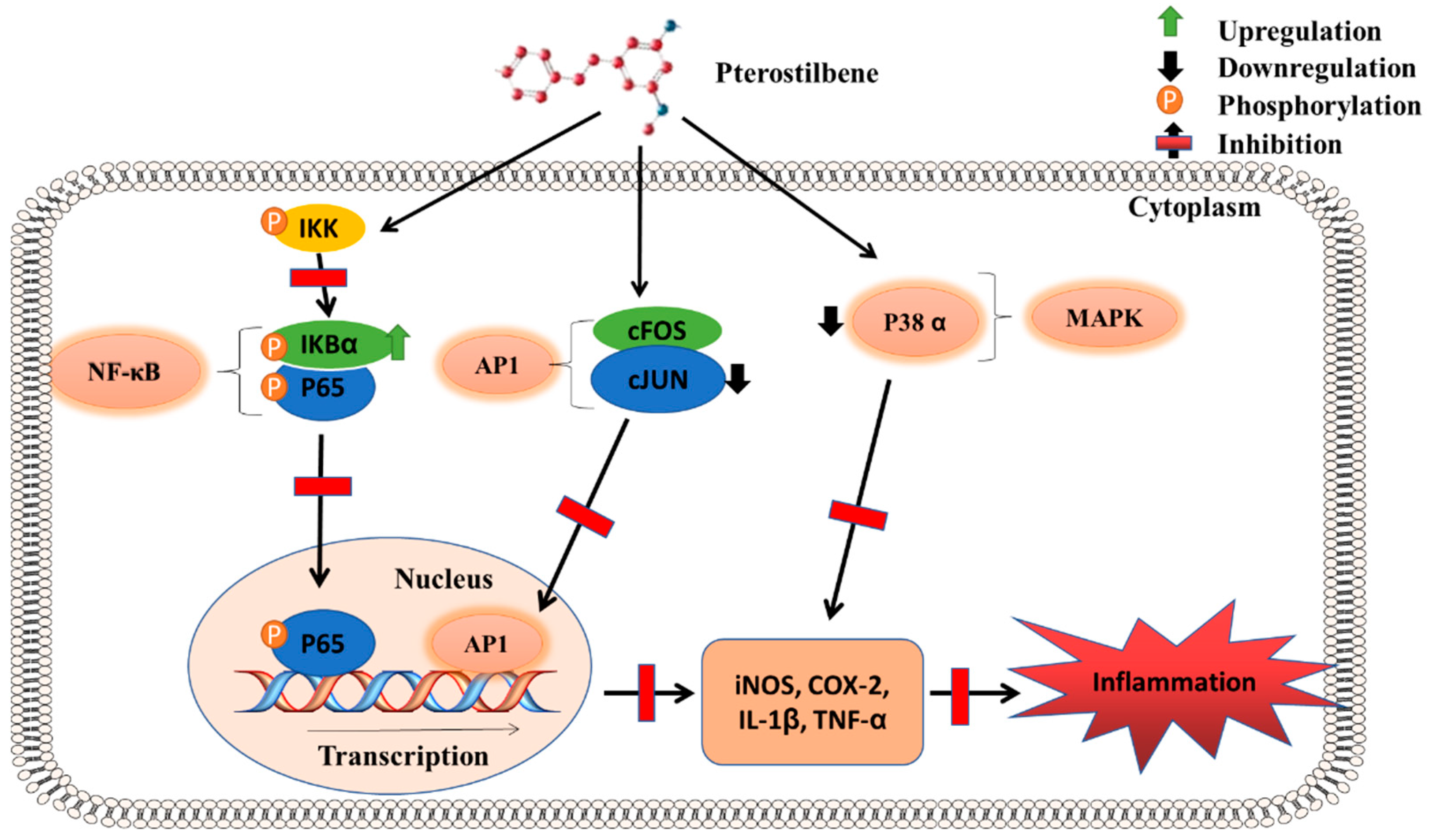 Molecules 27 06316 g003