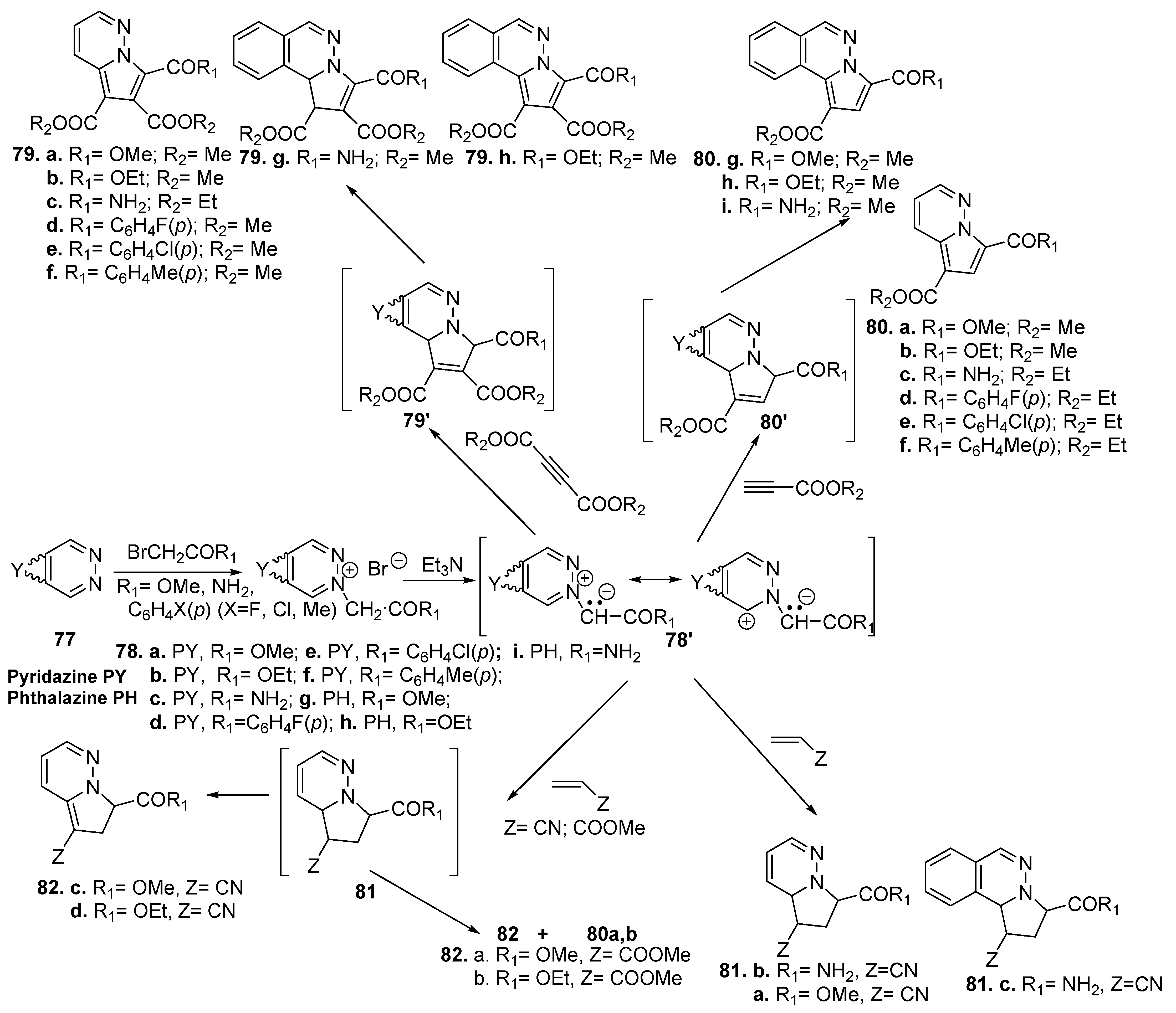 Molecules 27 06321 sch023 Molecules 27 06321 sch023