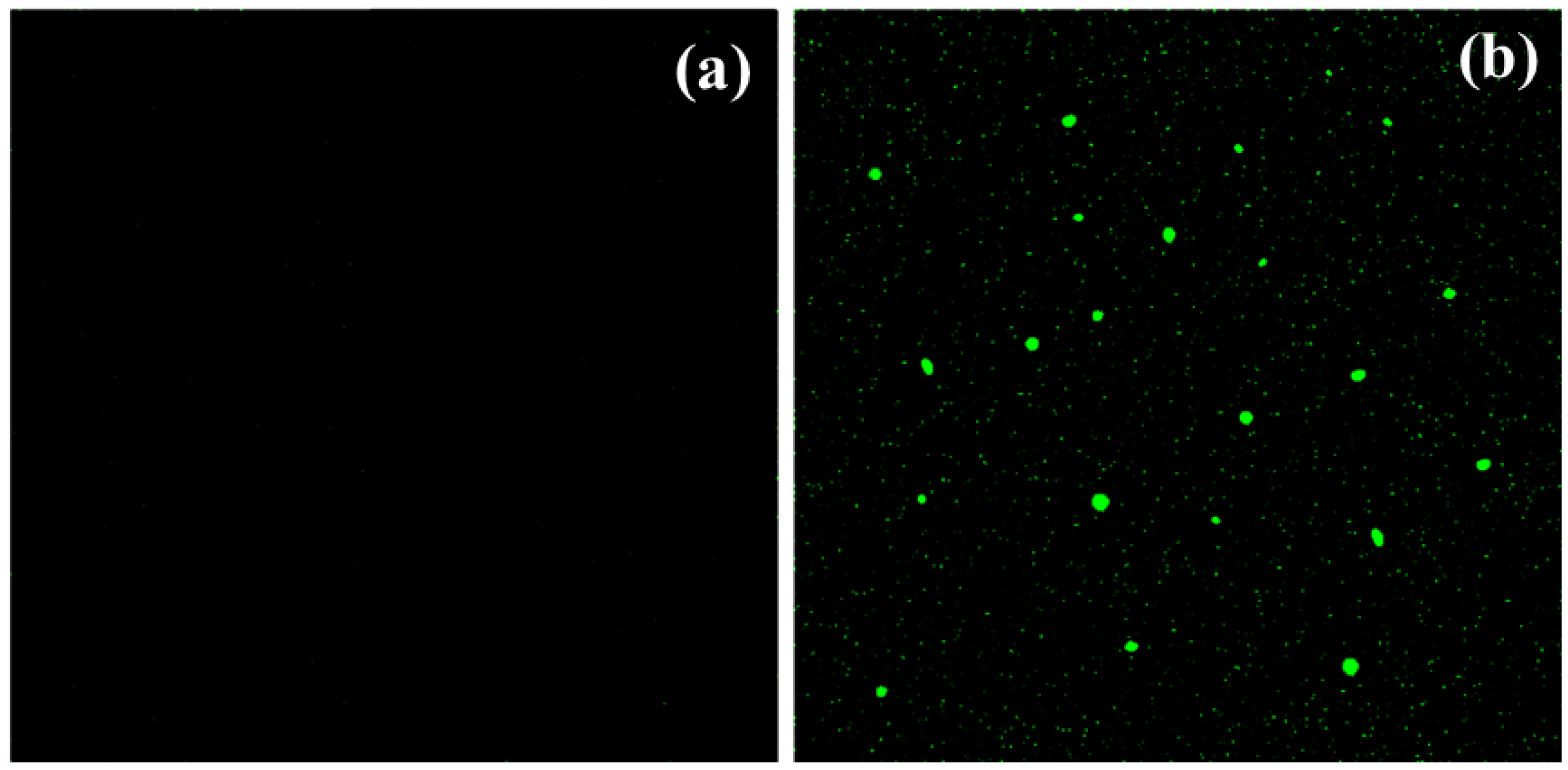 Molecules 27 06322 g008 Molecules 27 06322 g008
