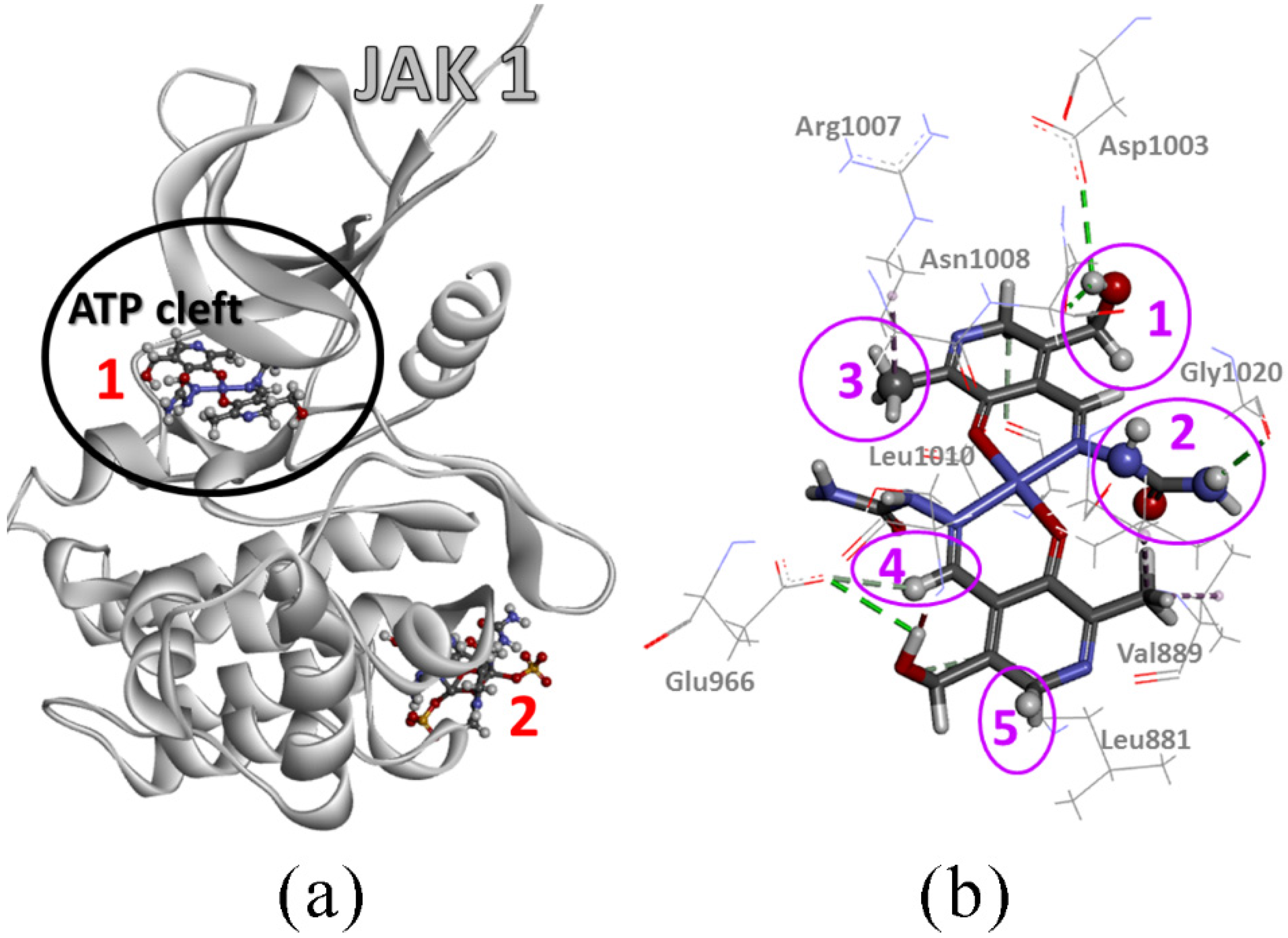 Molecules 27 06322 g010 Molecules 27 06322 g010