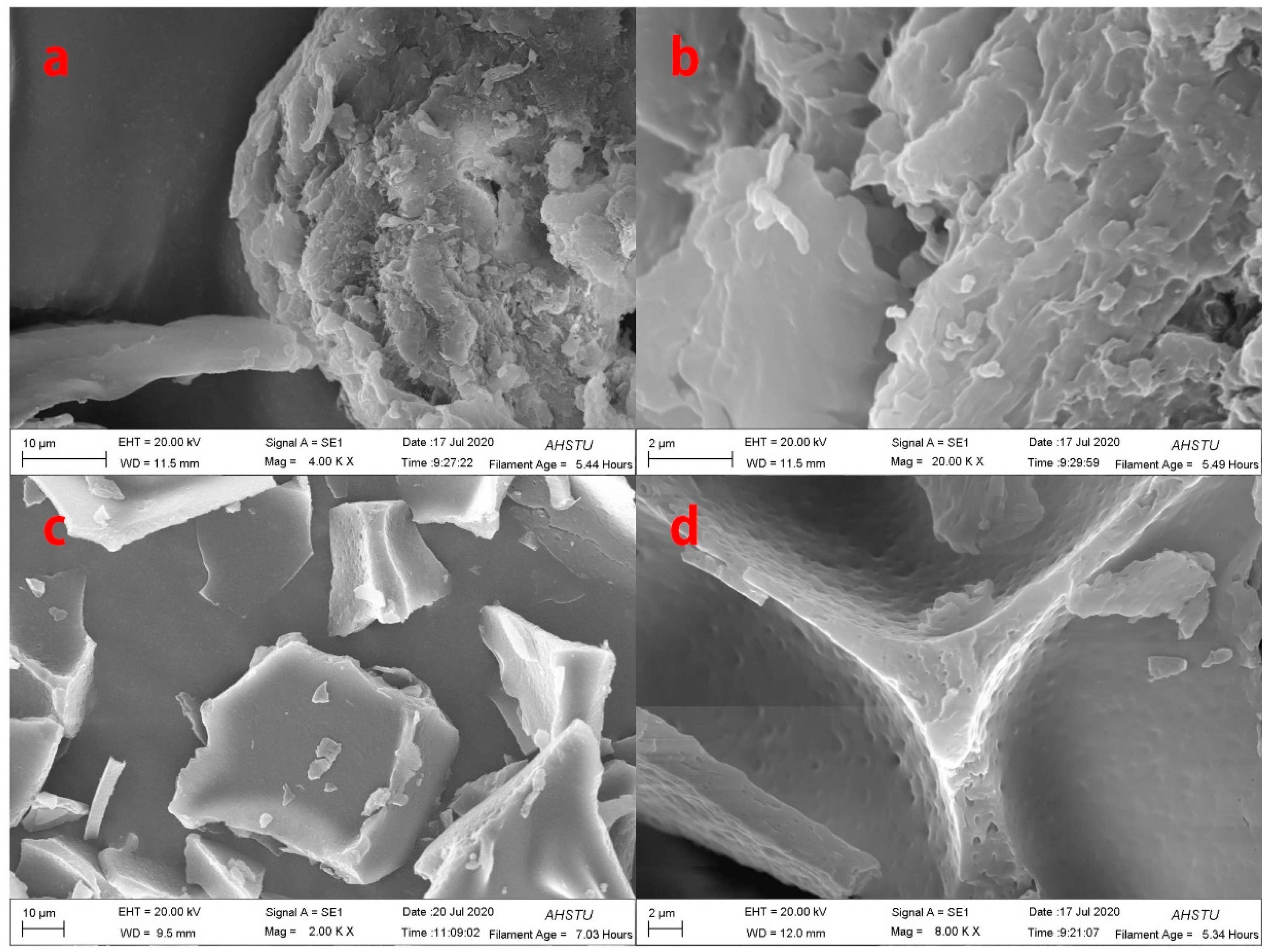Molecules 27 06331 g001