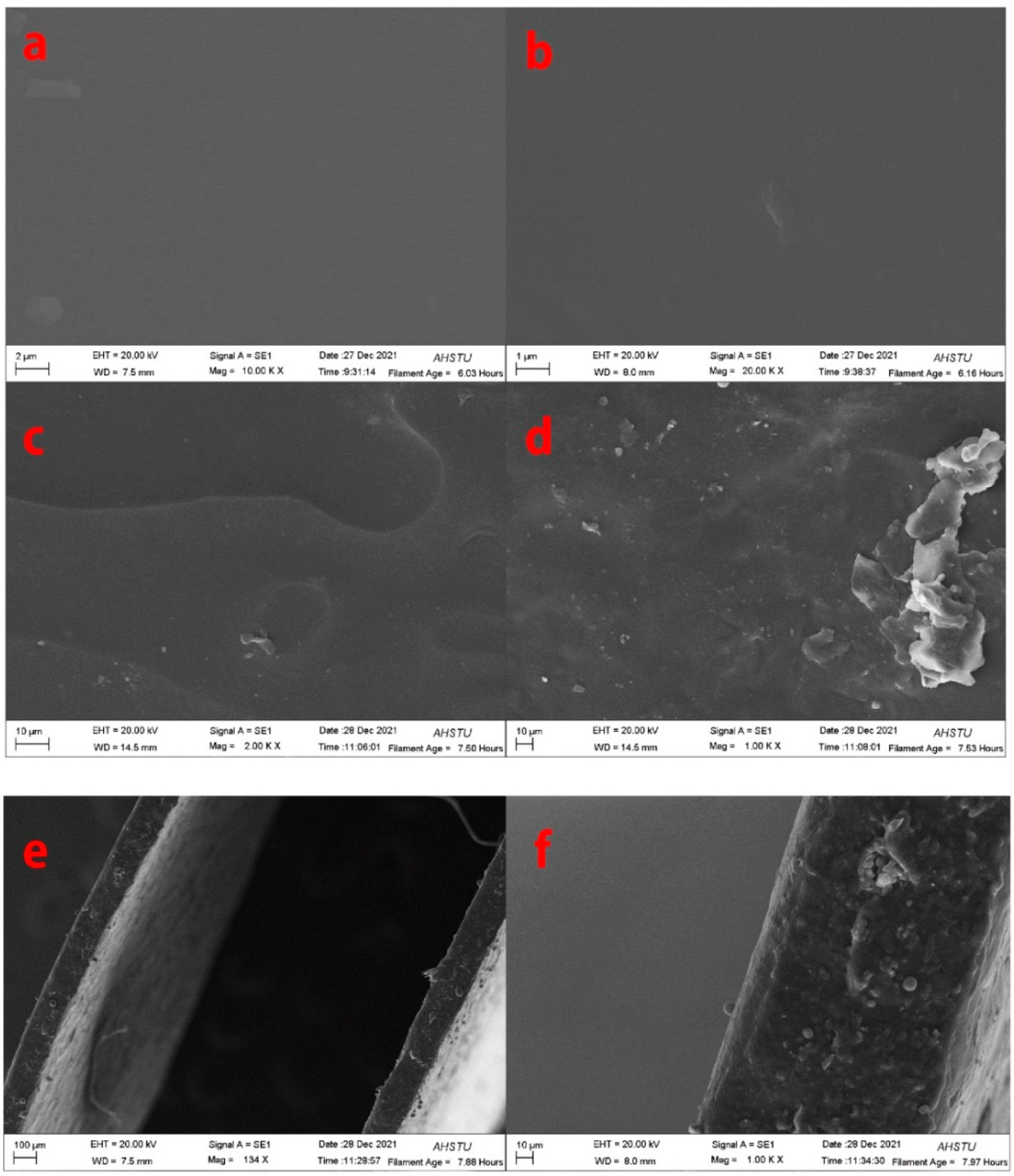Molecules 27 06331 g003