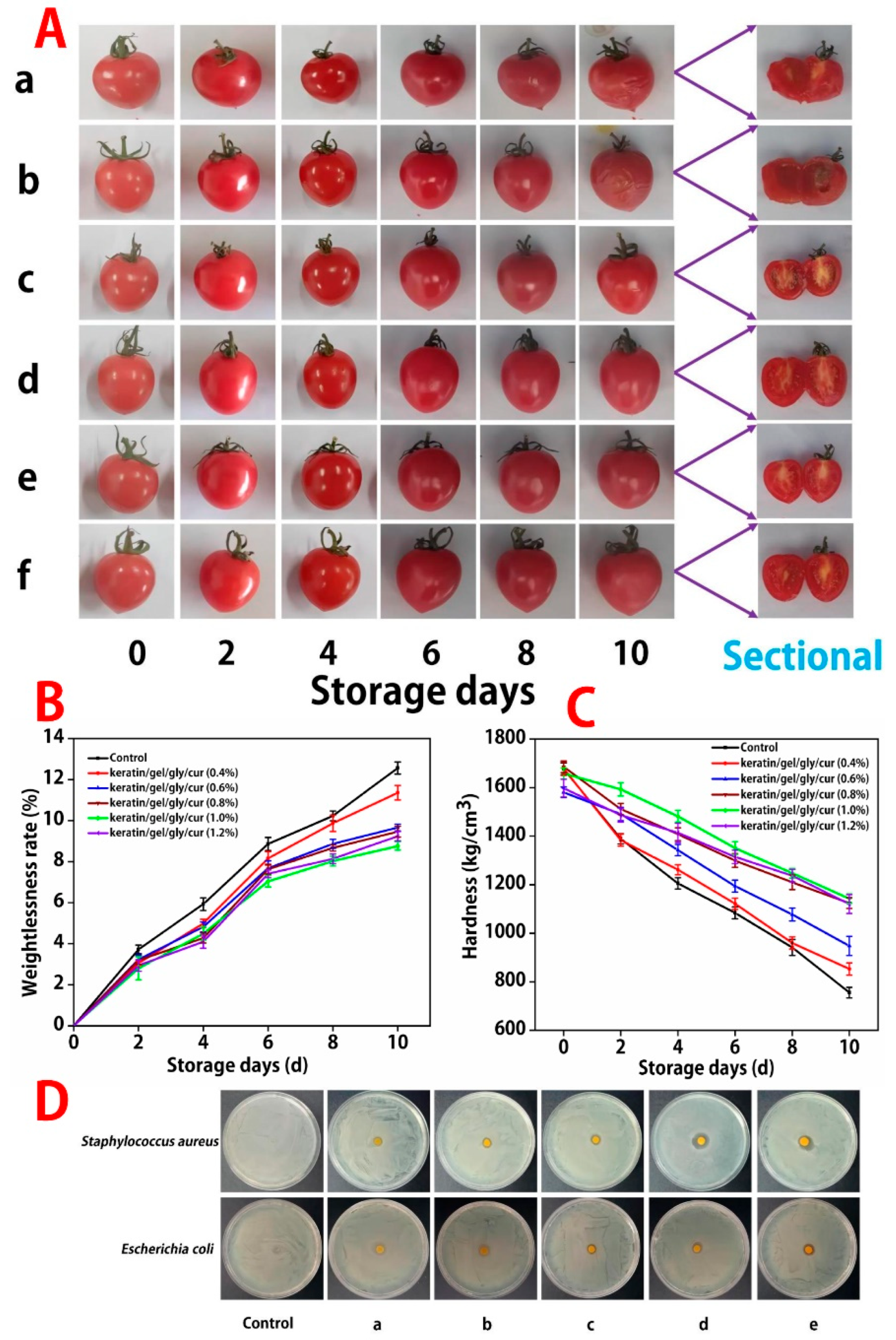 Molecules 27 06331 g006