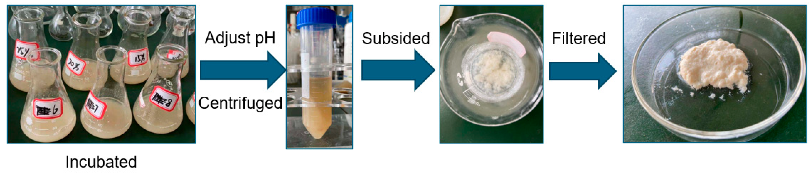 Molecules 27 06331 g007