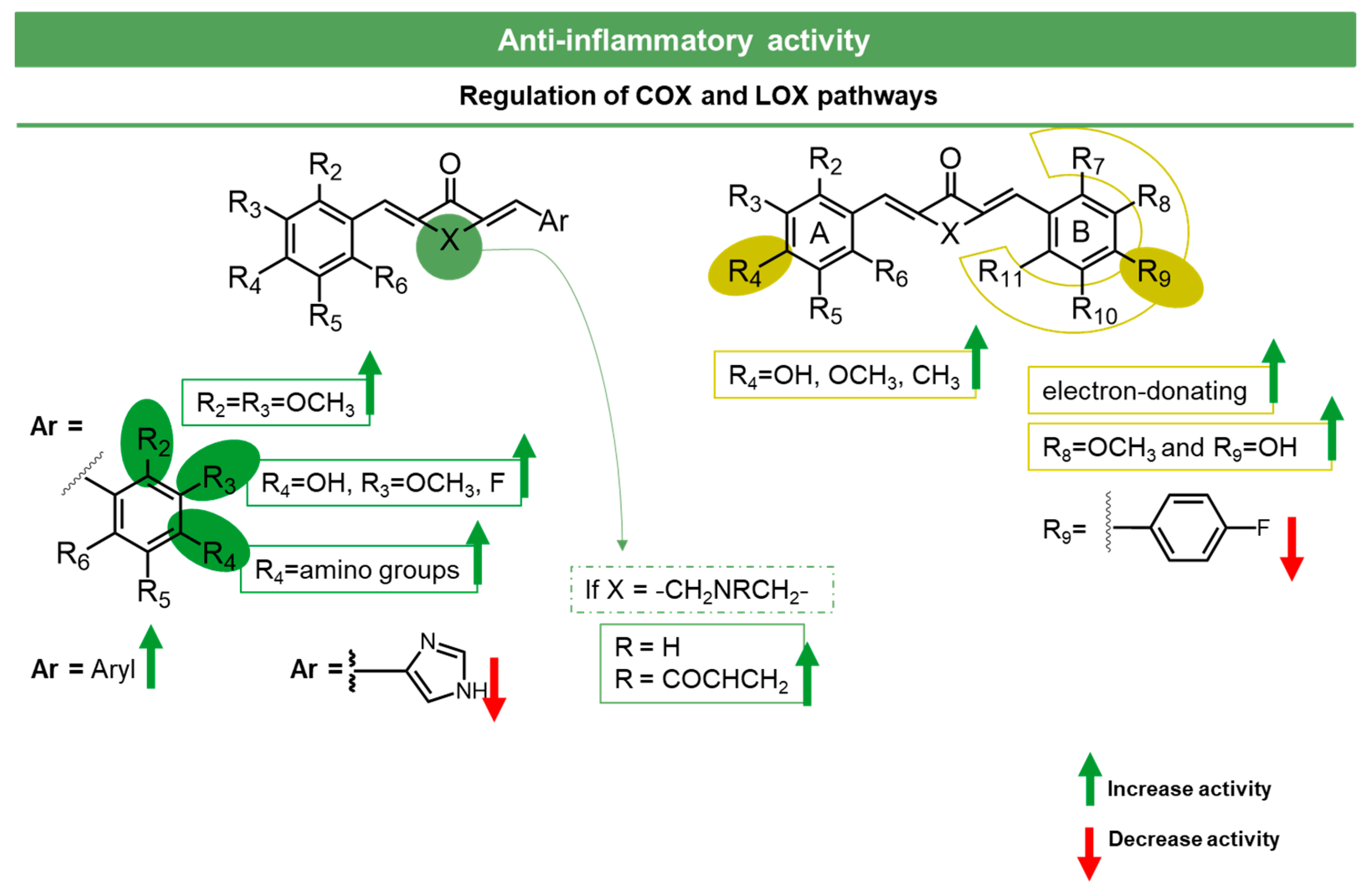 Molecules 27 06340 g013