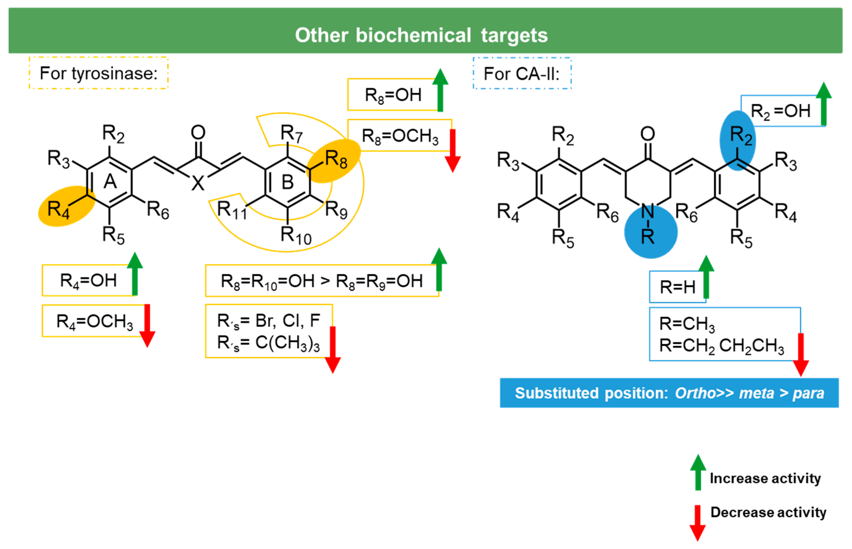 Molecules 27 06340 g019