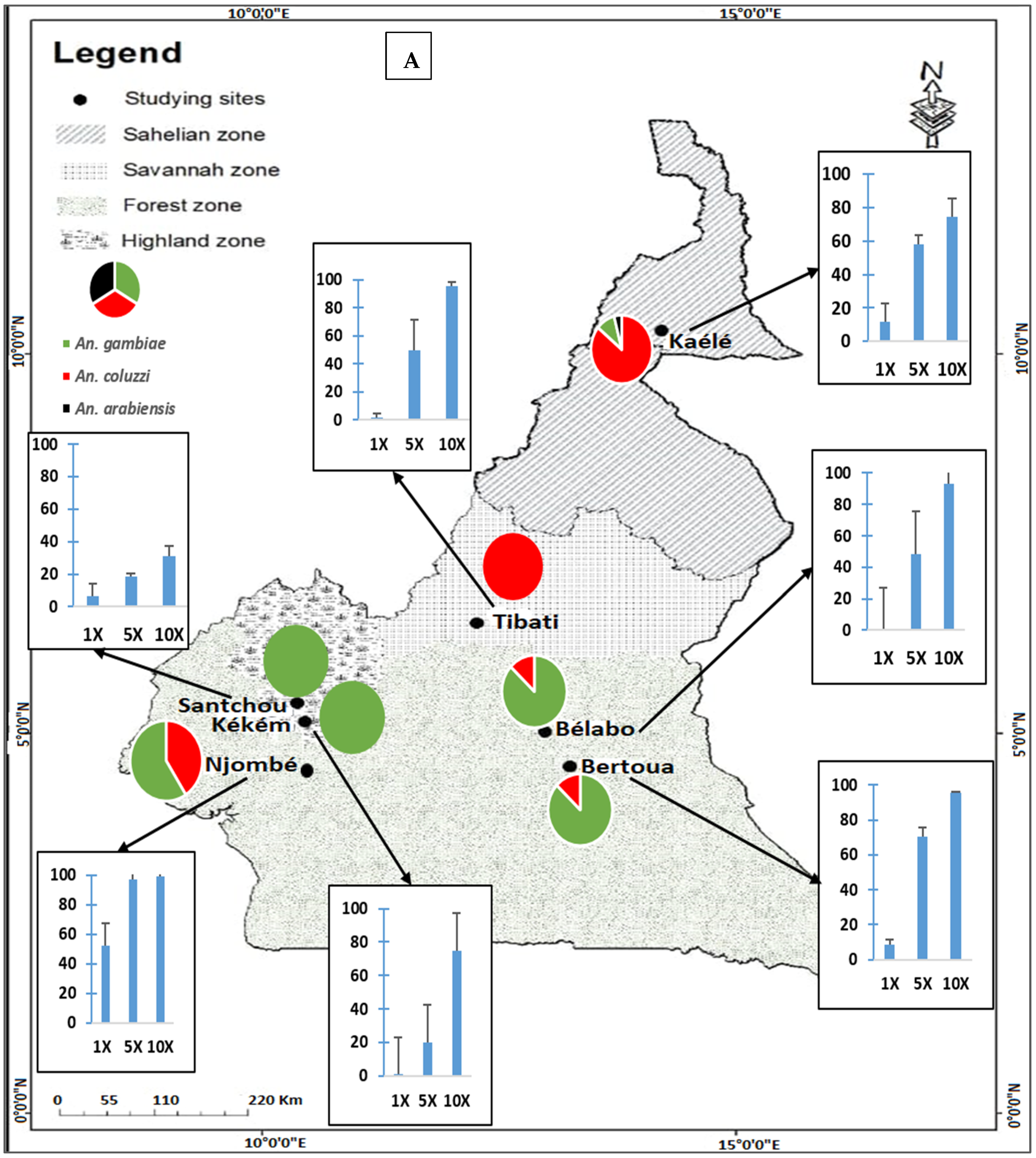Molecules 27 06343 g003a