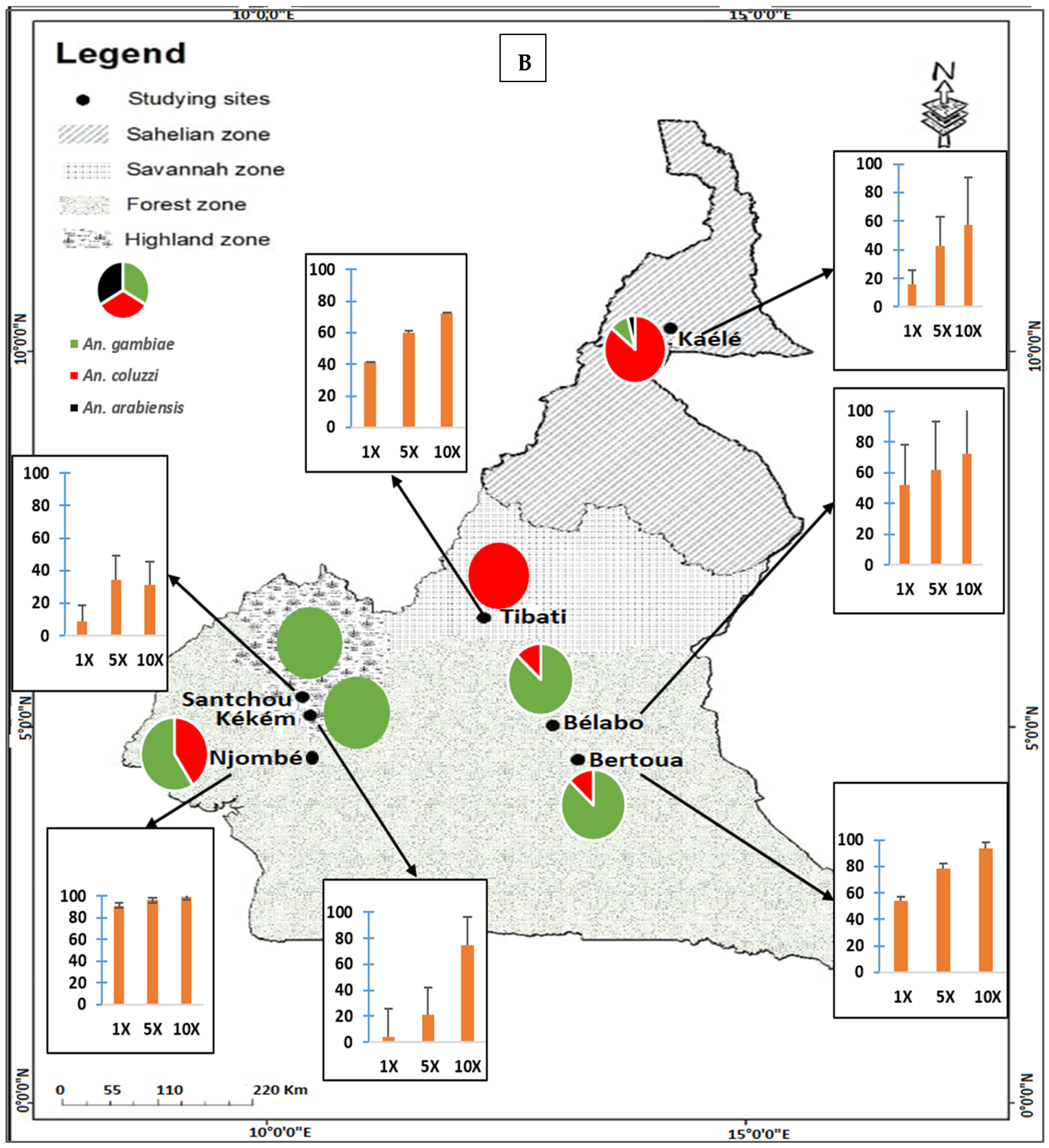 Molecules 27 06343 g003b
