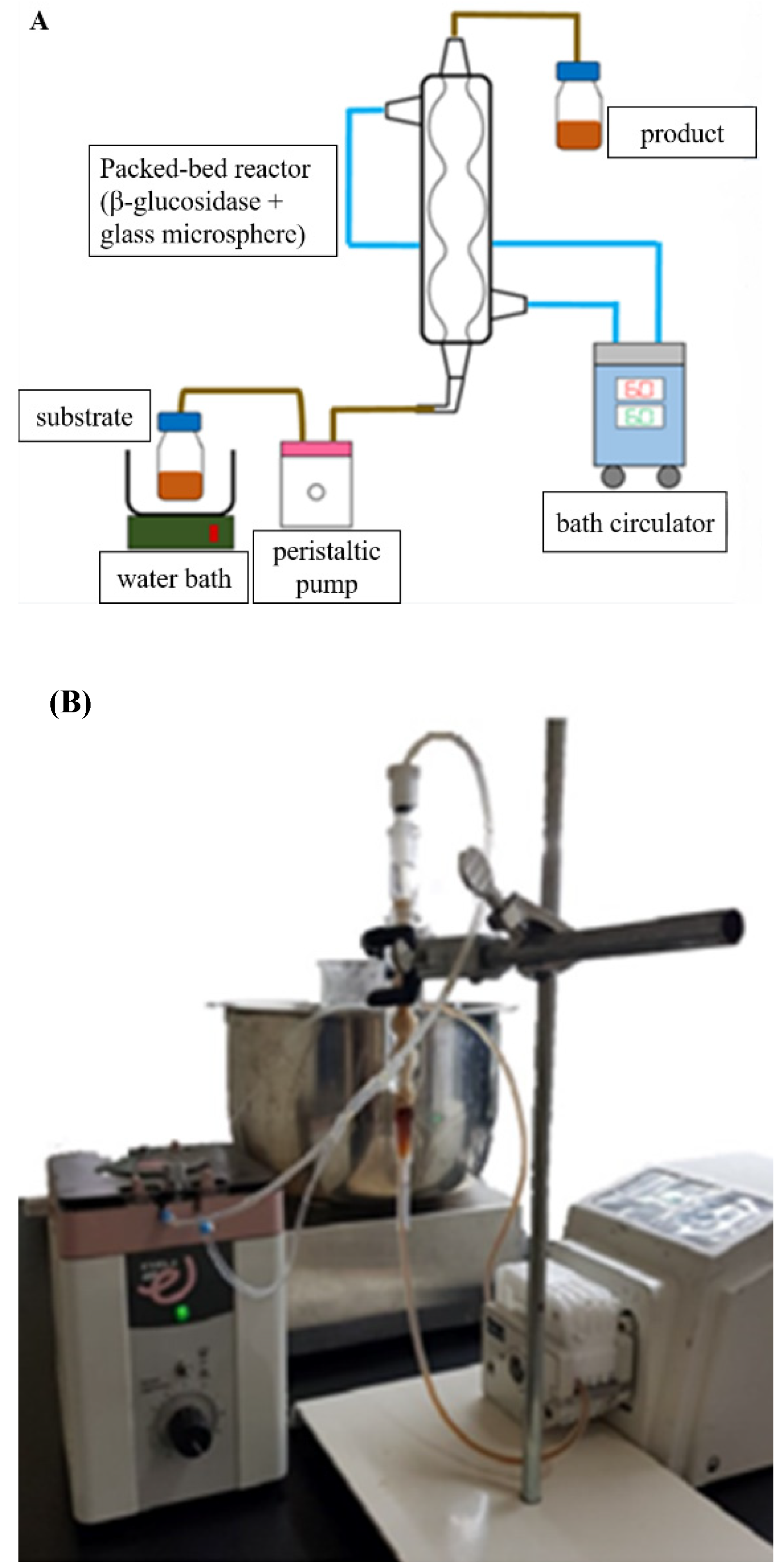 Molecules 27 06352 g005