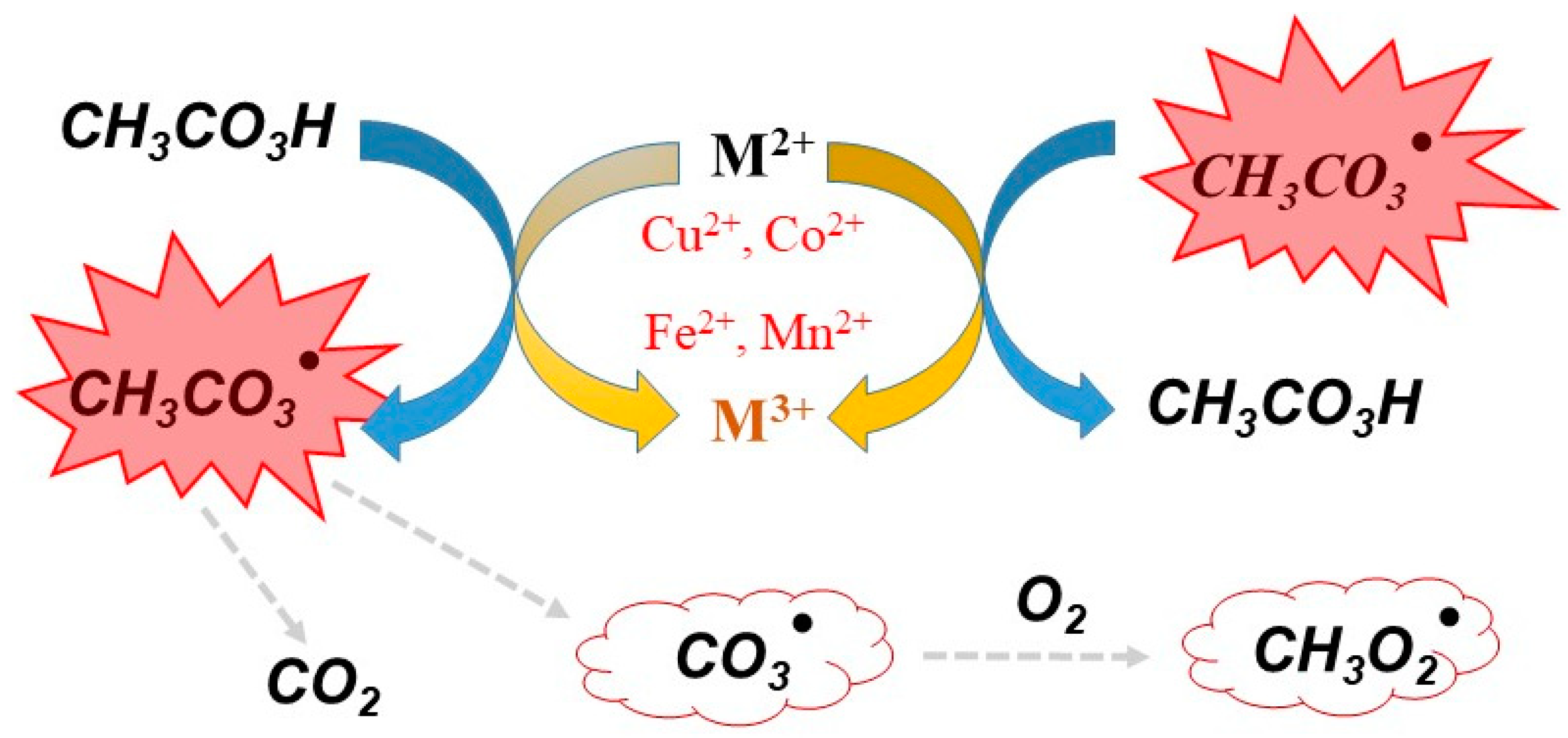 Molecules 27 06359 g002