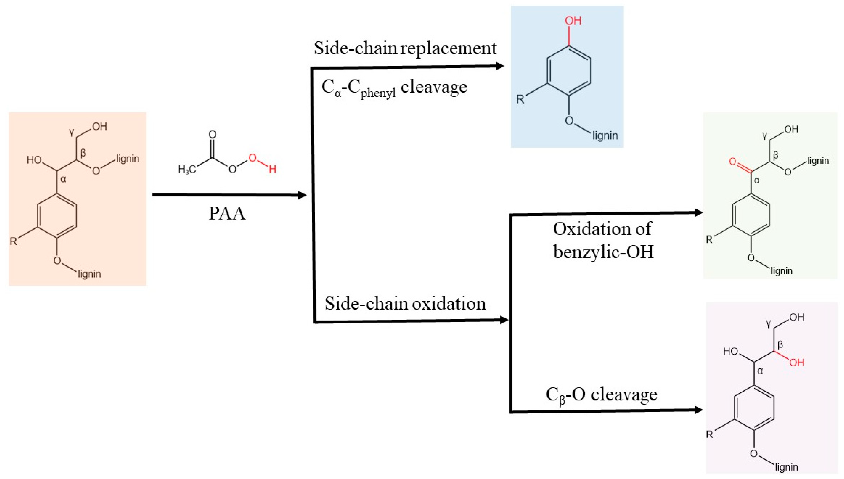 Molecules 27 06359 g004