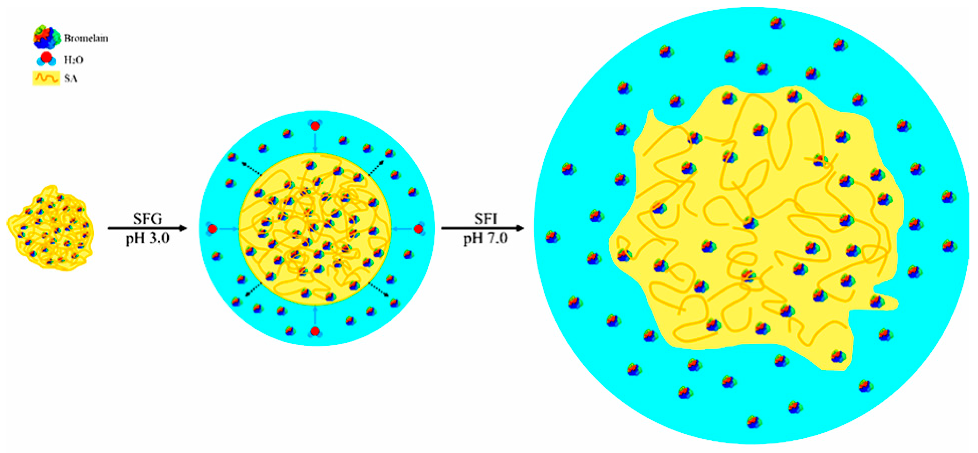 Molecules 27 06364 g003