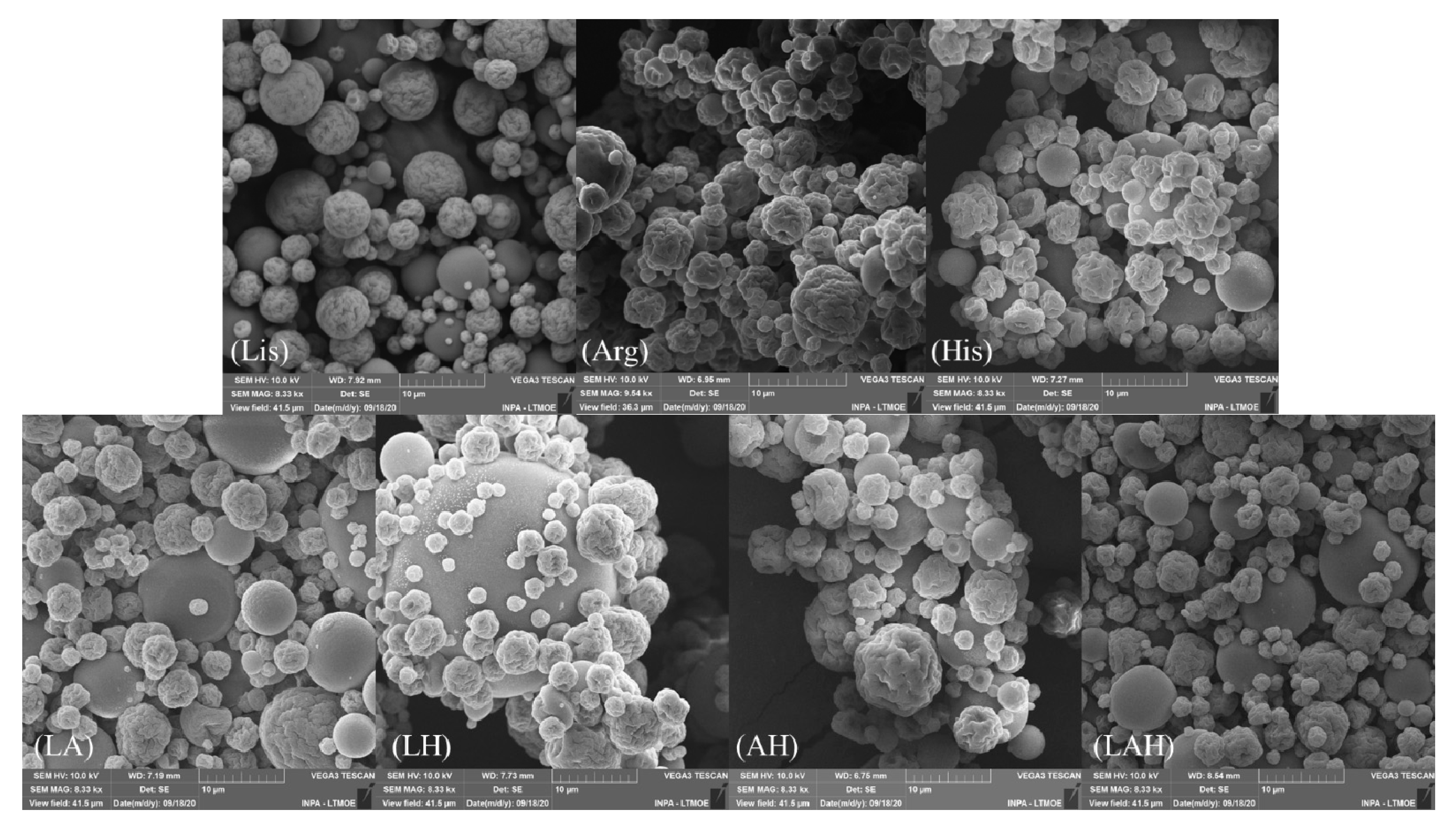 Molecules 27 06364 g007