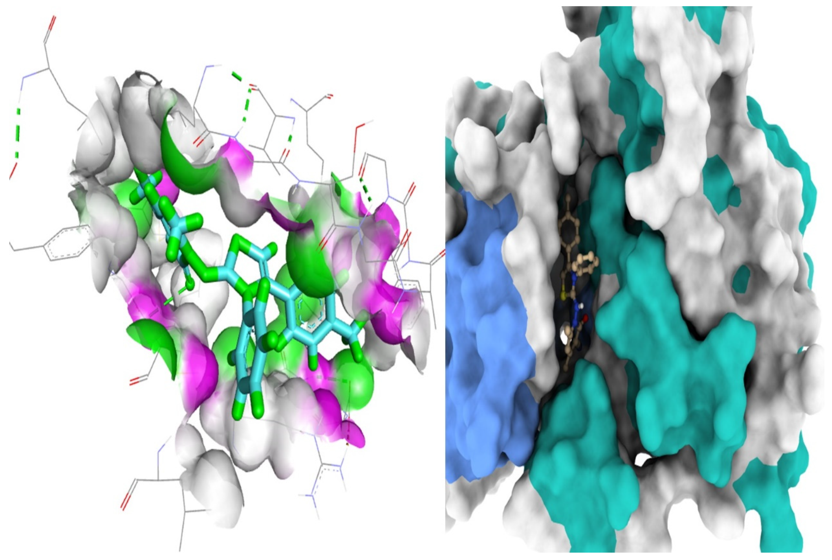 Molecules 27 06368 g013 Molecules 27 06368 g013