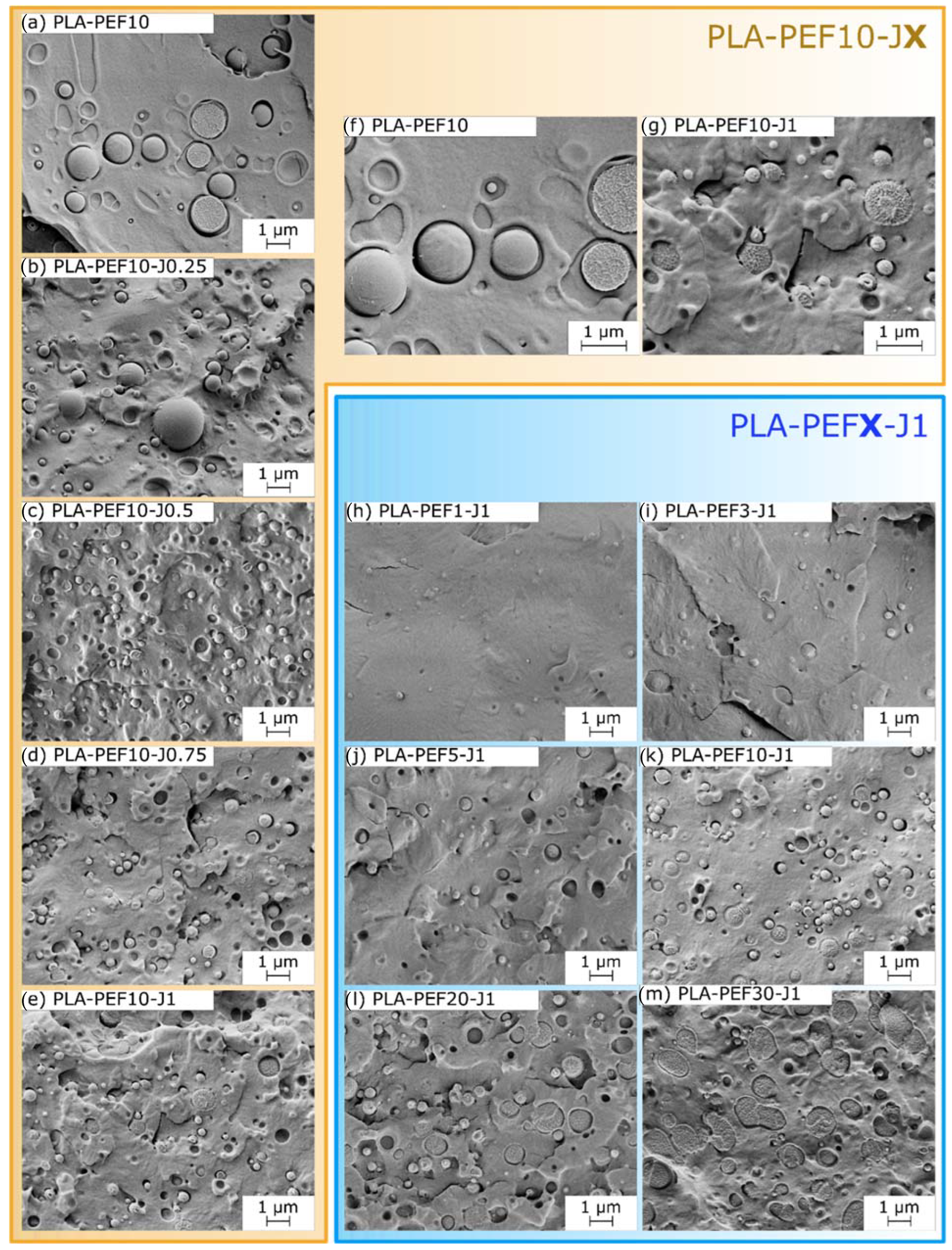 Molecules 27 06371 g002