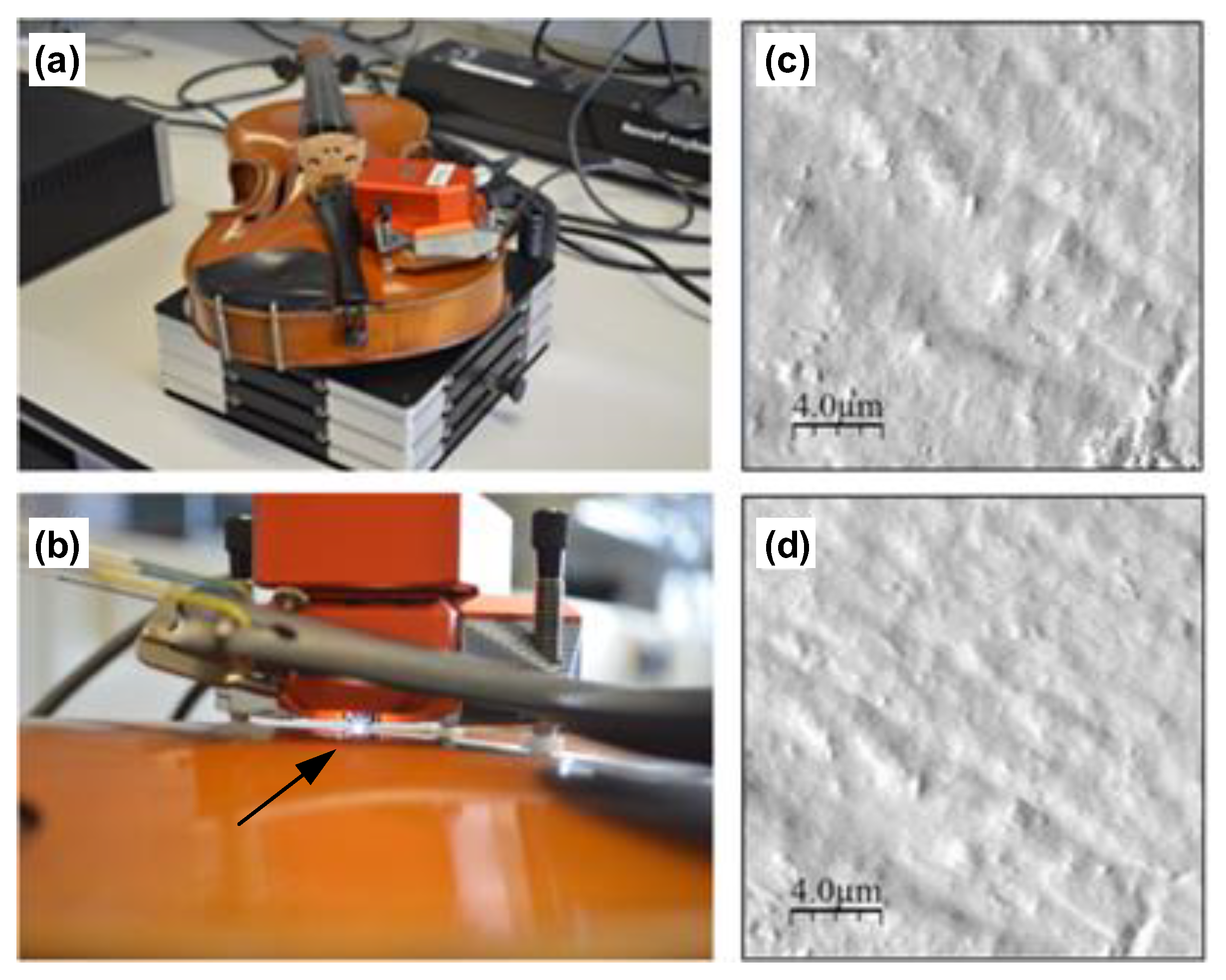 Molecules 27 06378 g001 Molecules 27 06378 g001
