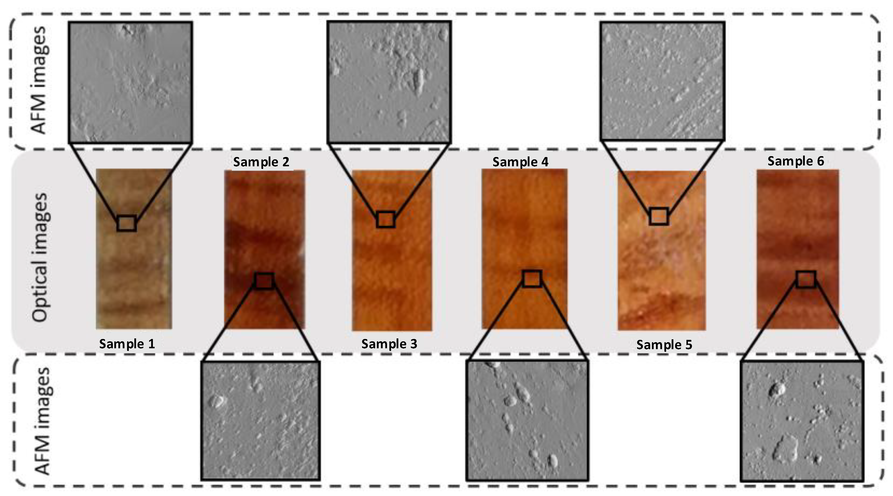 Molecules 27 06378 g002 Molecules 27 06378 g002