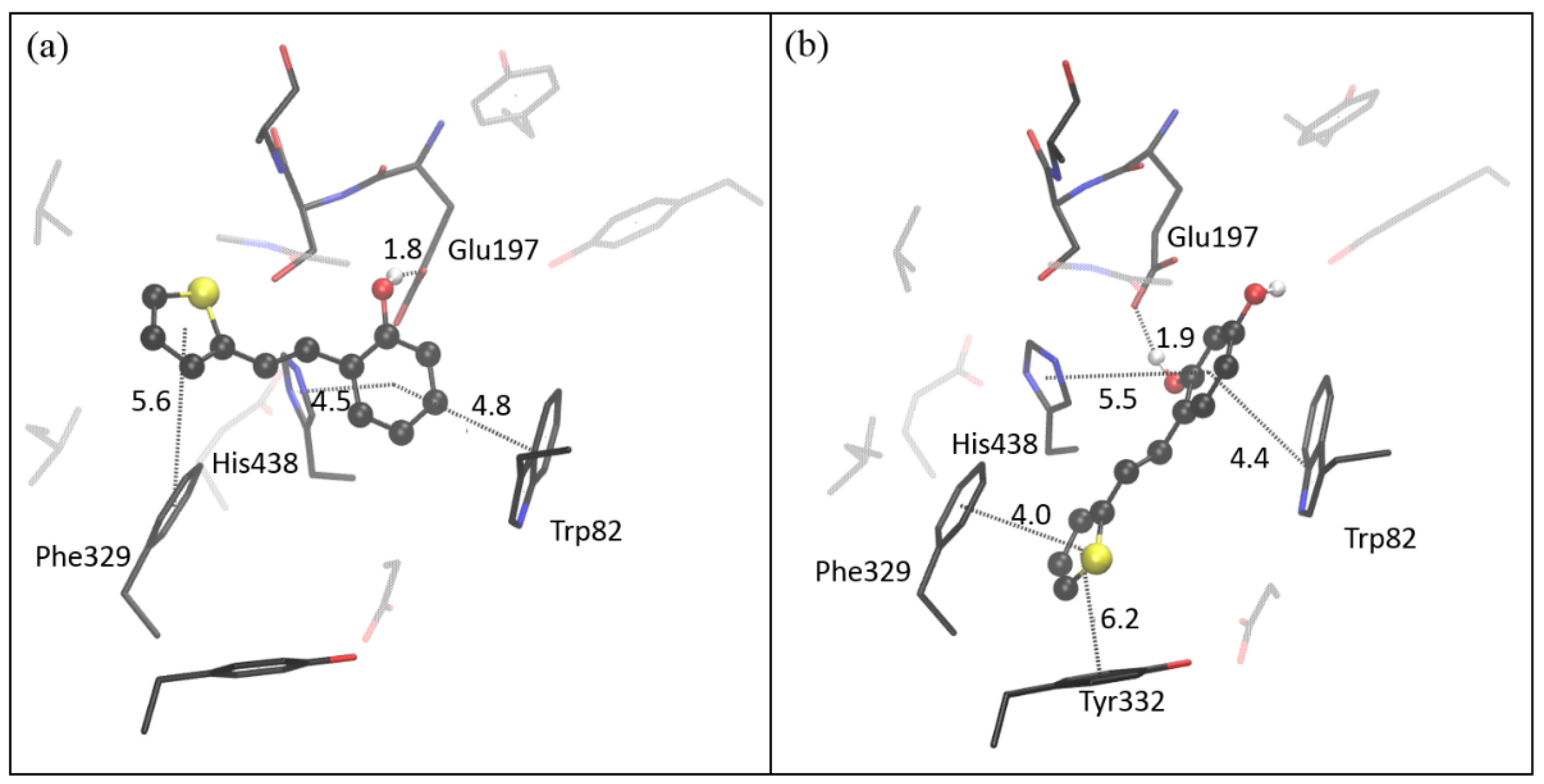 Molecules 27 06379 g009