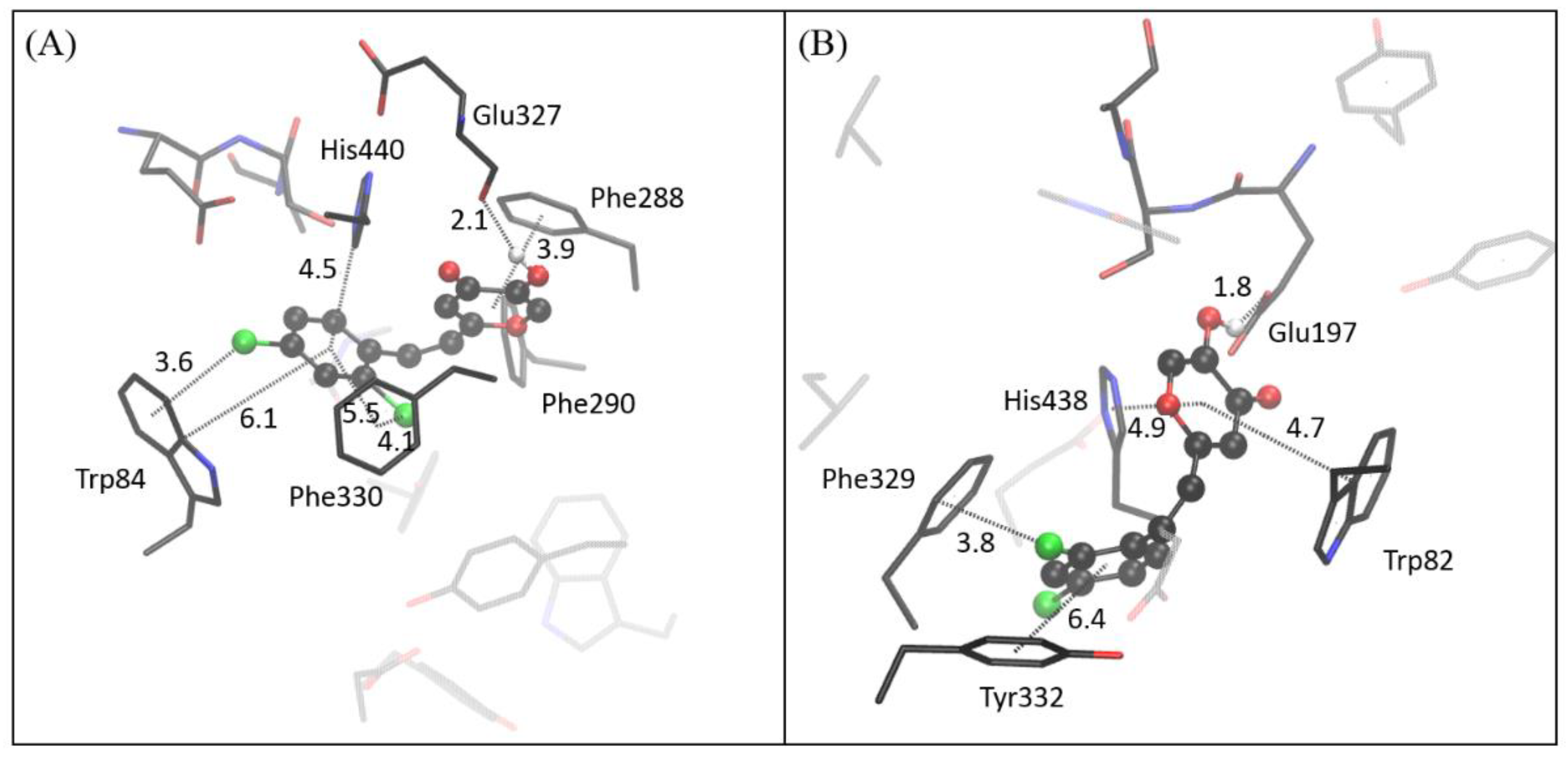 Molecules 27 06379 g010