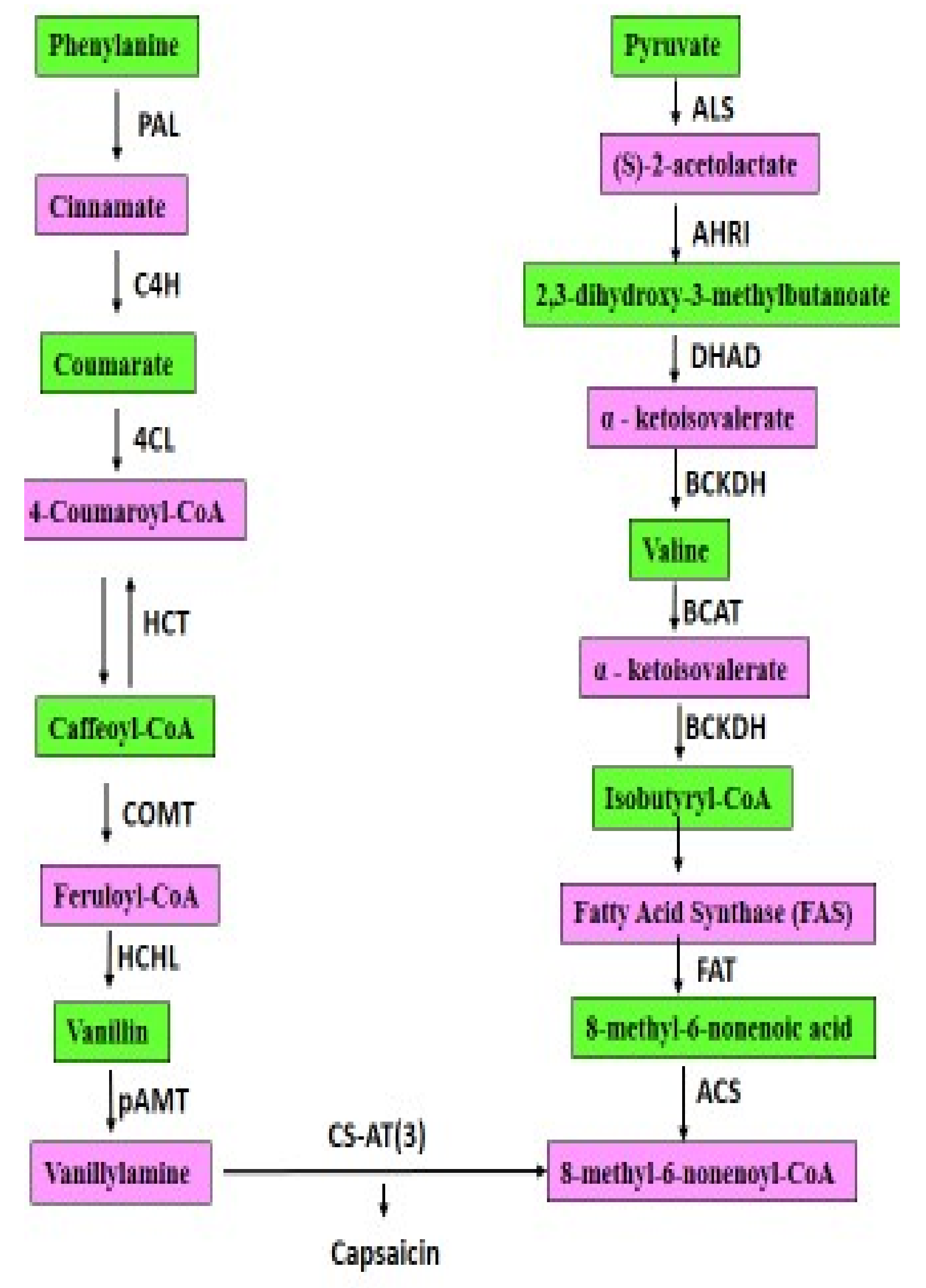 Molecules 27 06380 g002 Molecules 27 06380 g002